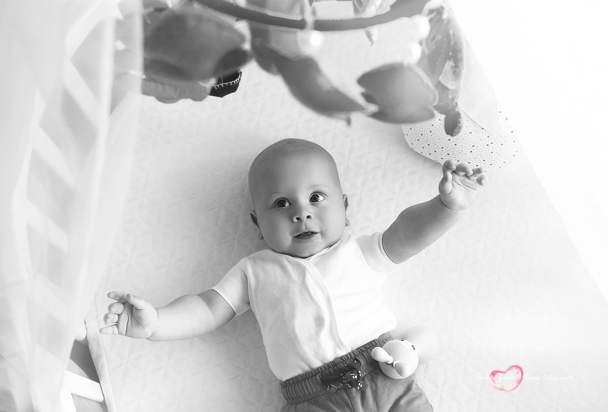 Семейная фотосессия Мирон 5 мес