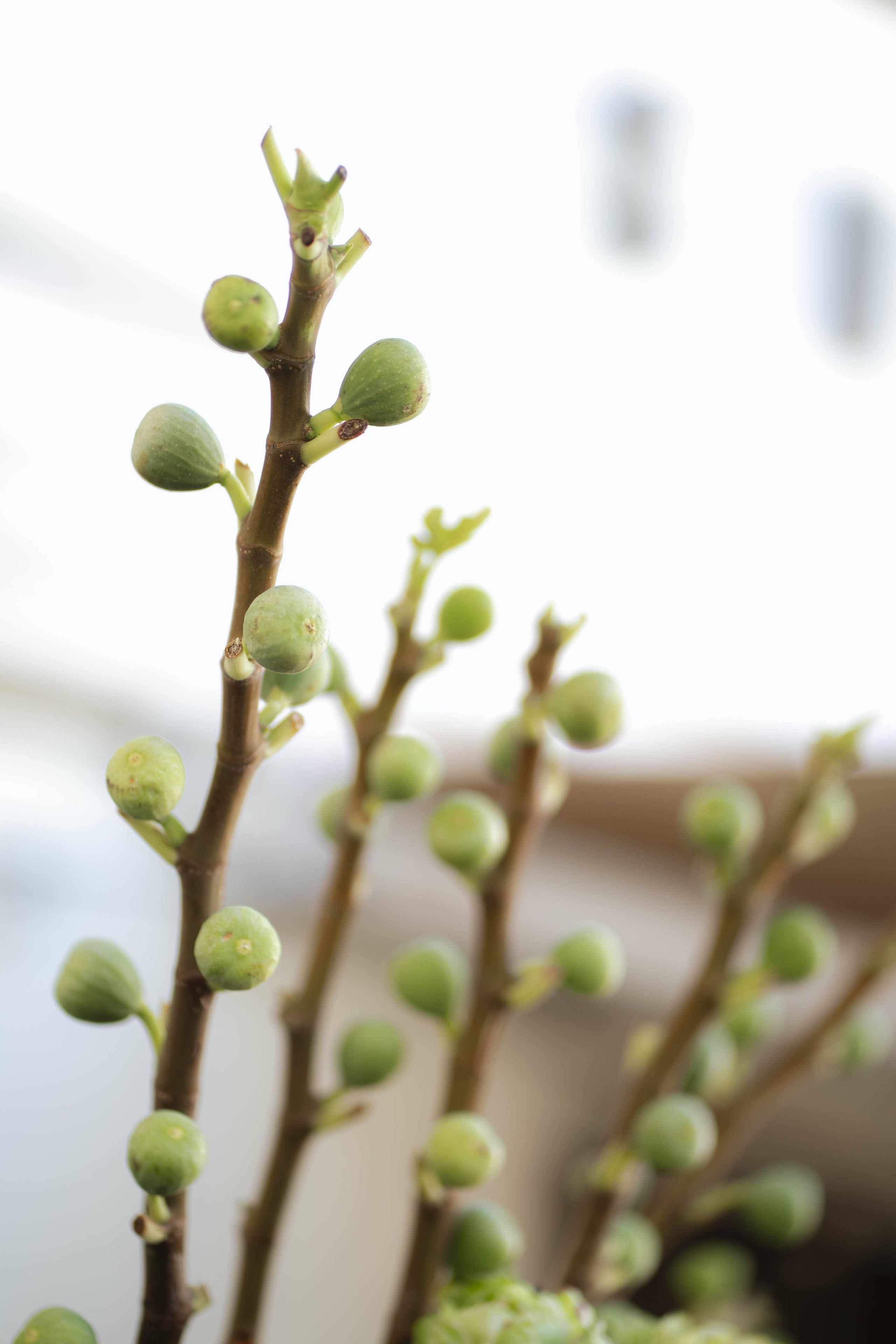 MIN SIN x Surf Coffee. Репортажный фотограф в Казани Виктория Трунова