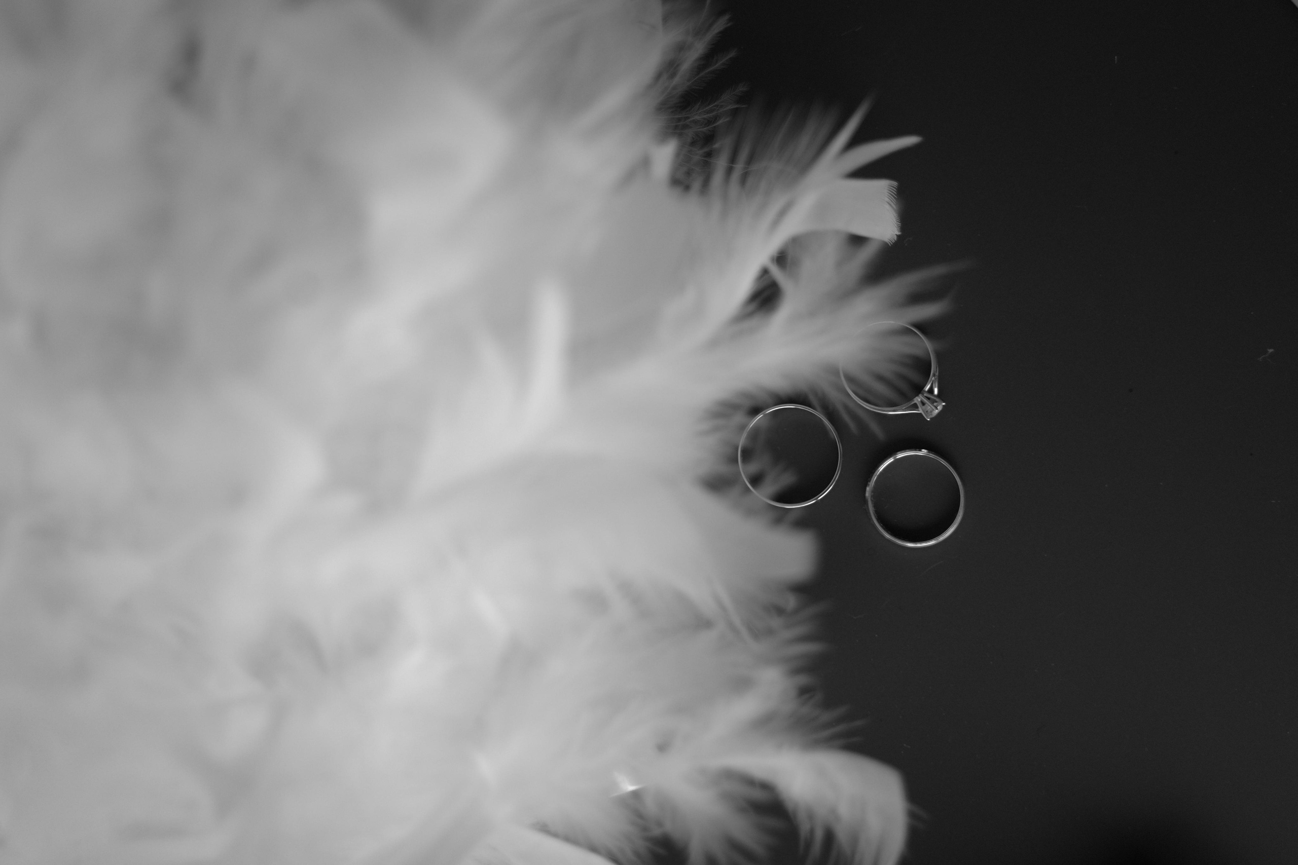 Александра и Евгений. Свадебный фотограф Марина Попова