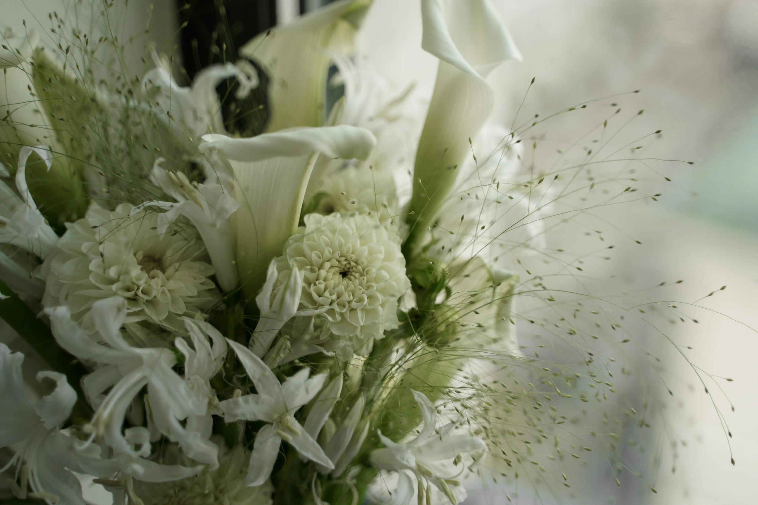 Татьяна и Константин. Свадебный фотограф Марина Попова