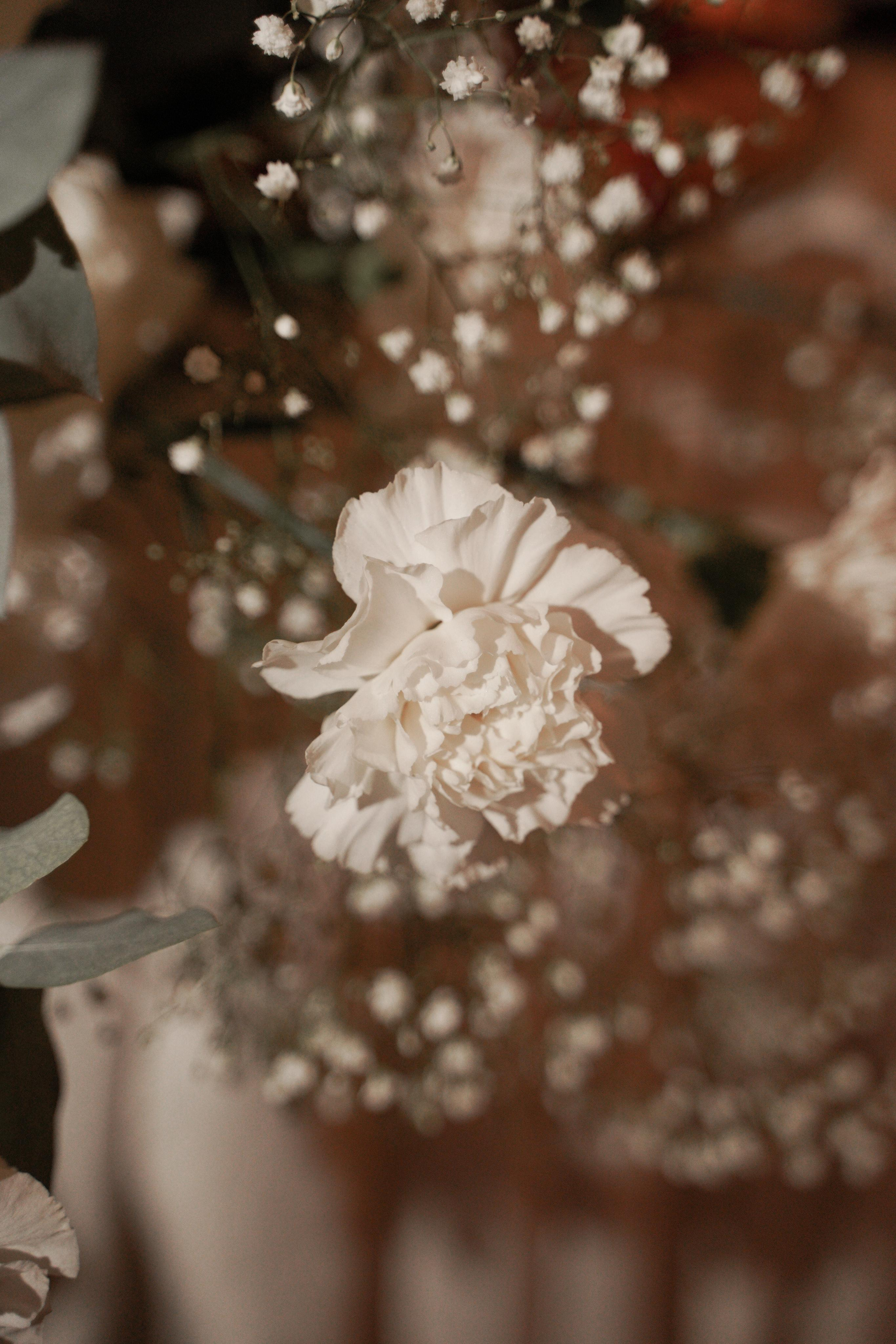 Алина и Николай. Свадебный фотограф Марина Попова