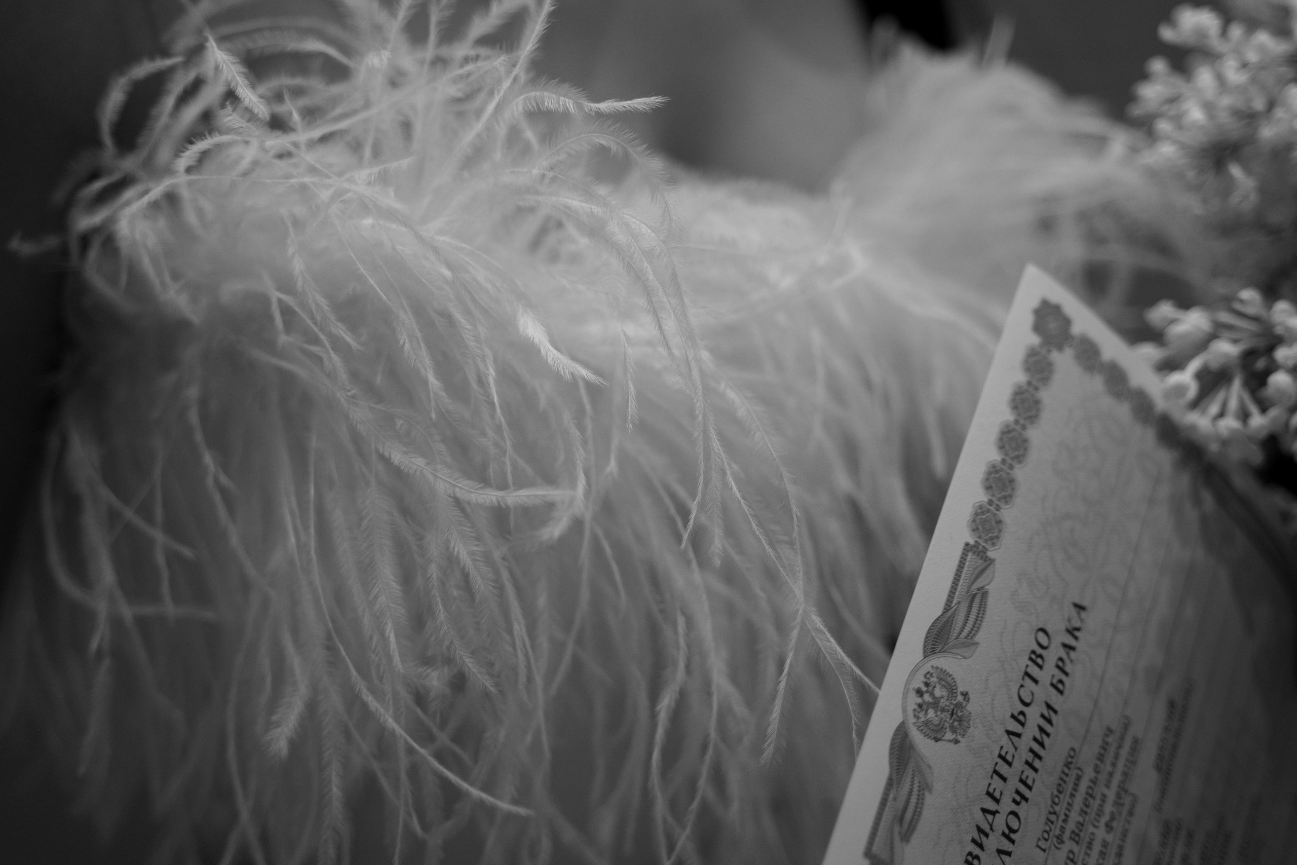 Любовь и Тимур. Свадебный фотограф Марина Попова