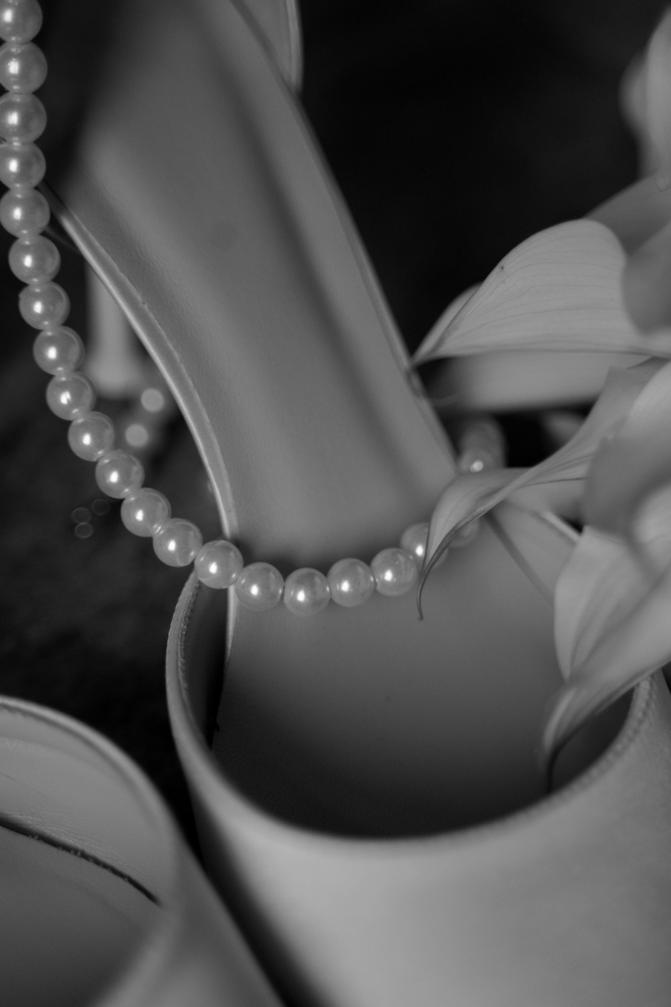 Елизавета и Александр. Свадебный фотограф Марина Попова