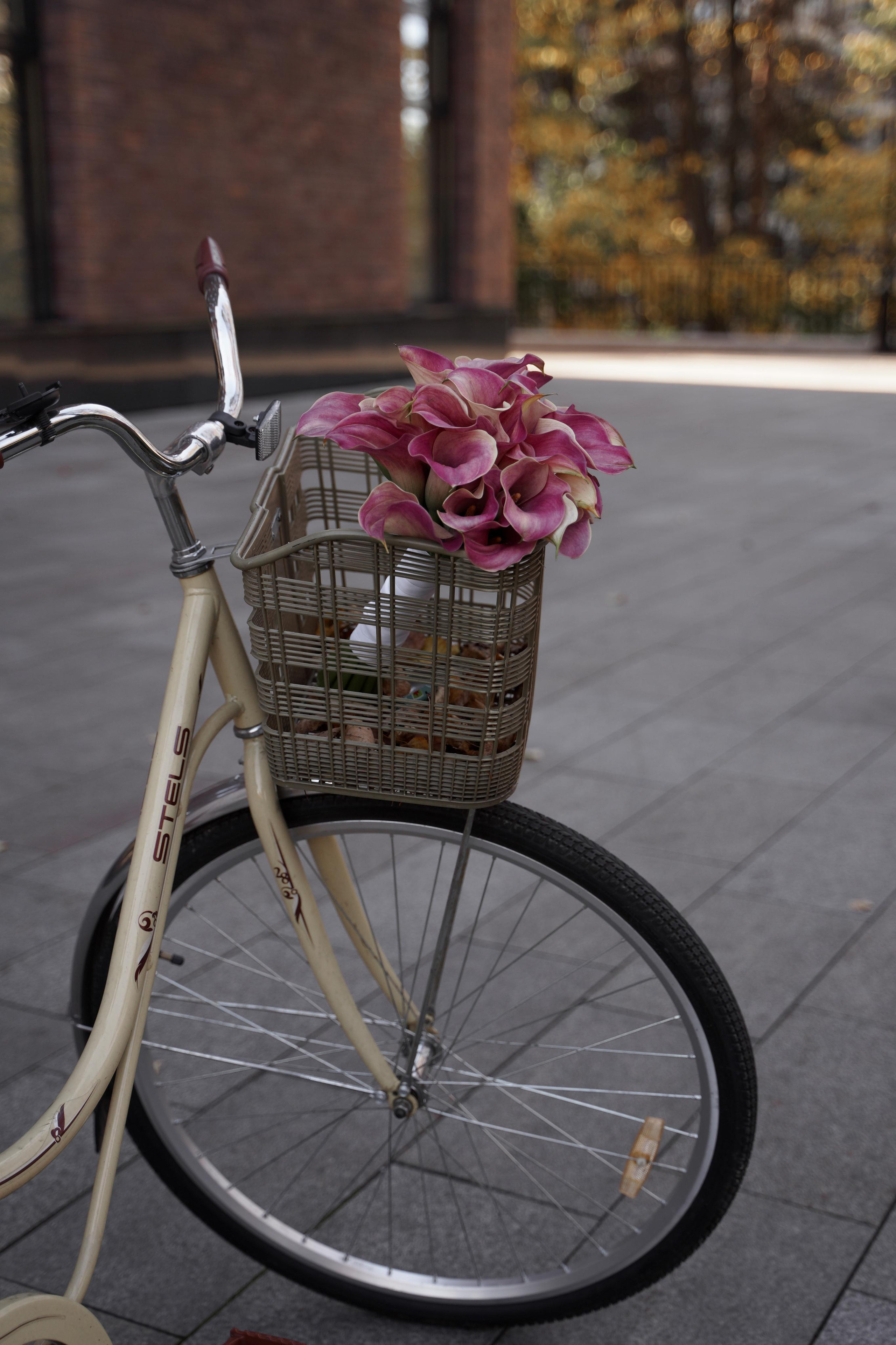 Анастасия и Александр. Свадебный фотограф Марина Попова