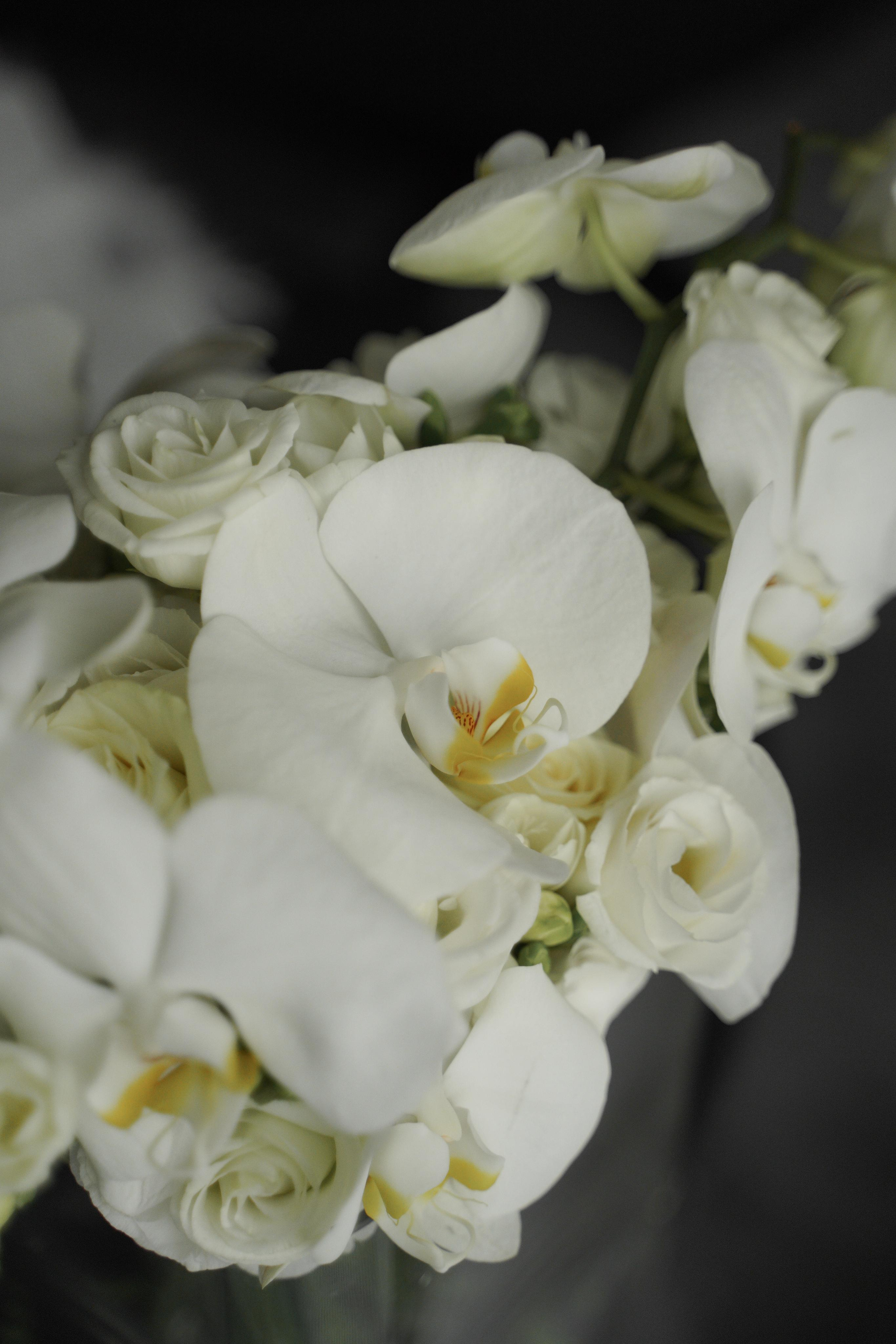 Александра и Евгений. Свадебный фотограф Марина Попова