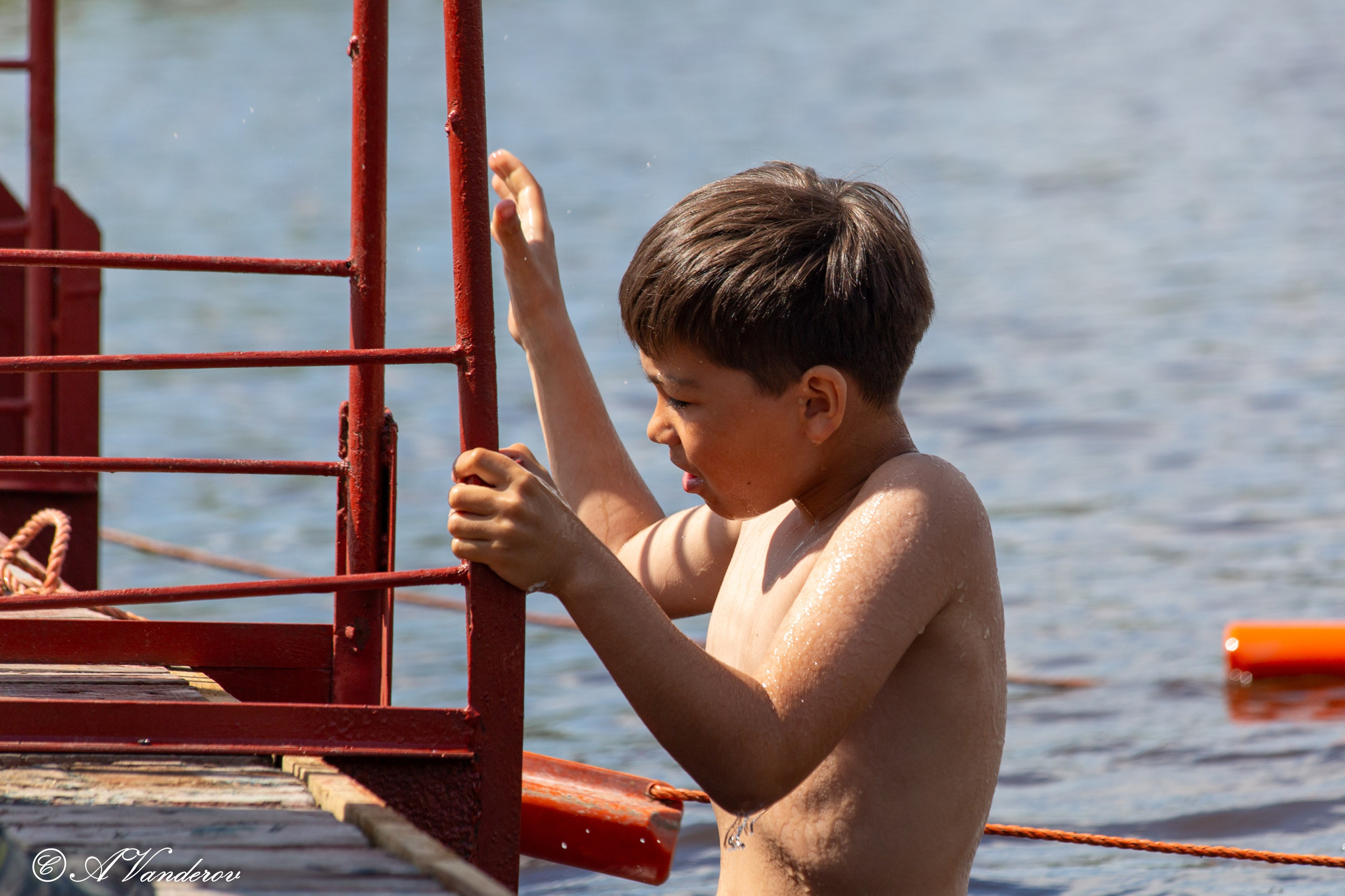 Заплыв 02.06.2024. Фотограф Омск | Александр Вандеров
