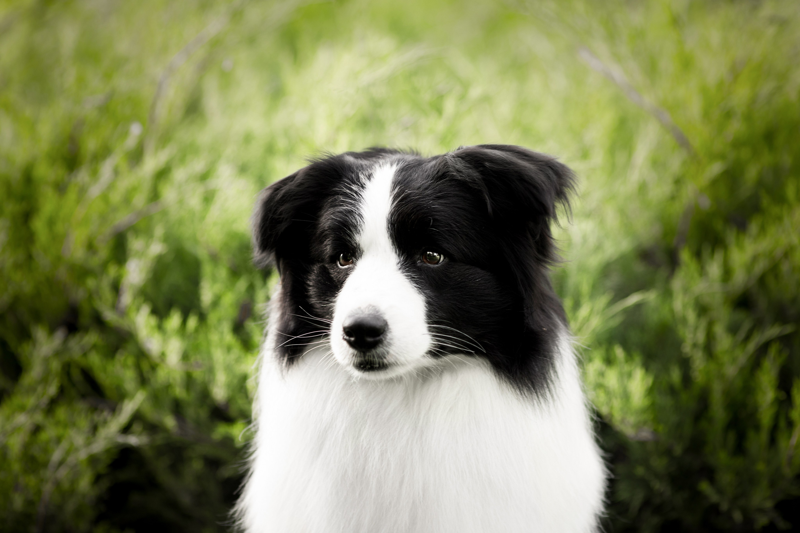 Роскошь в ростошах. О нас