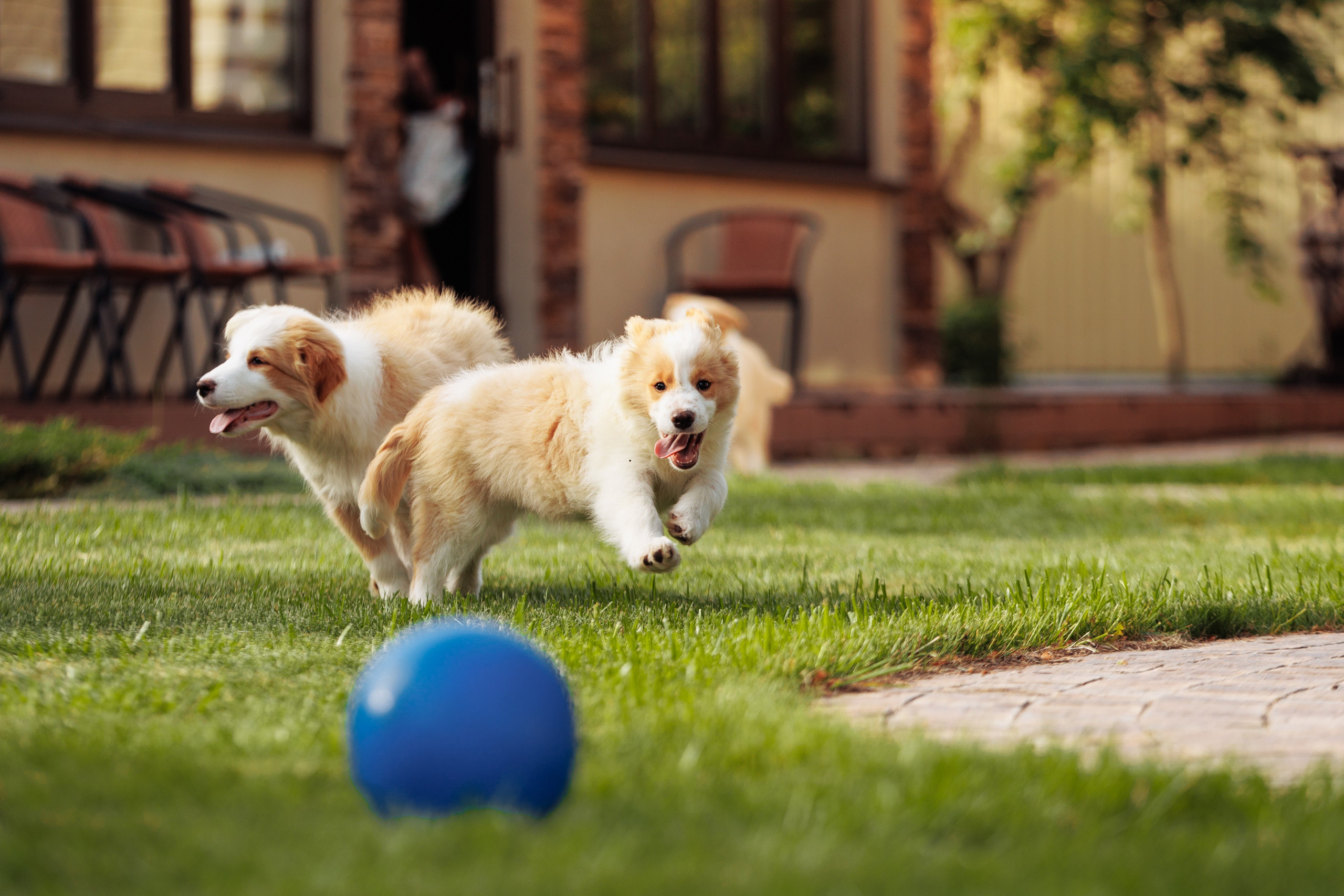 СОлнечные. О нас