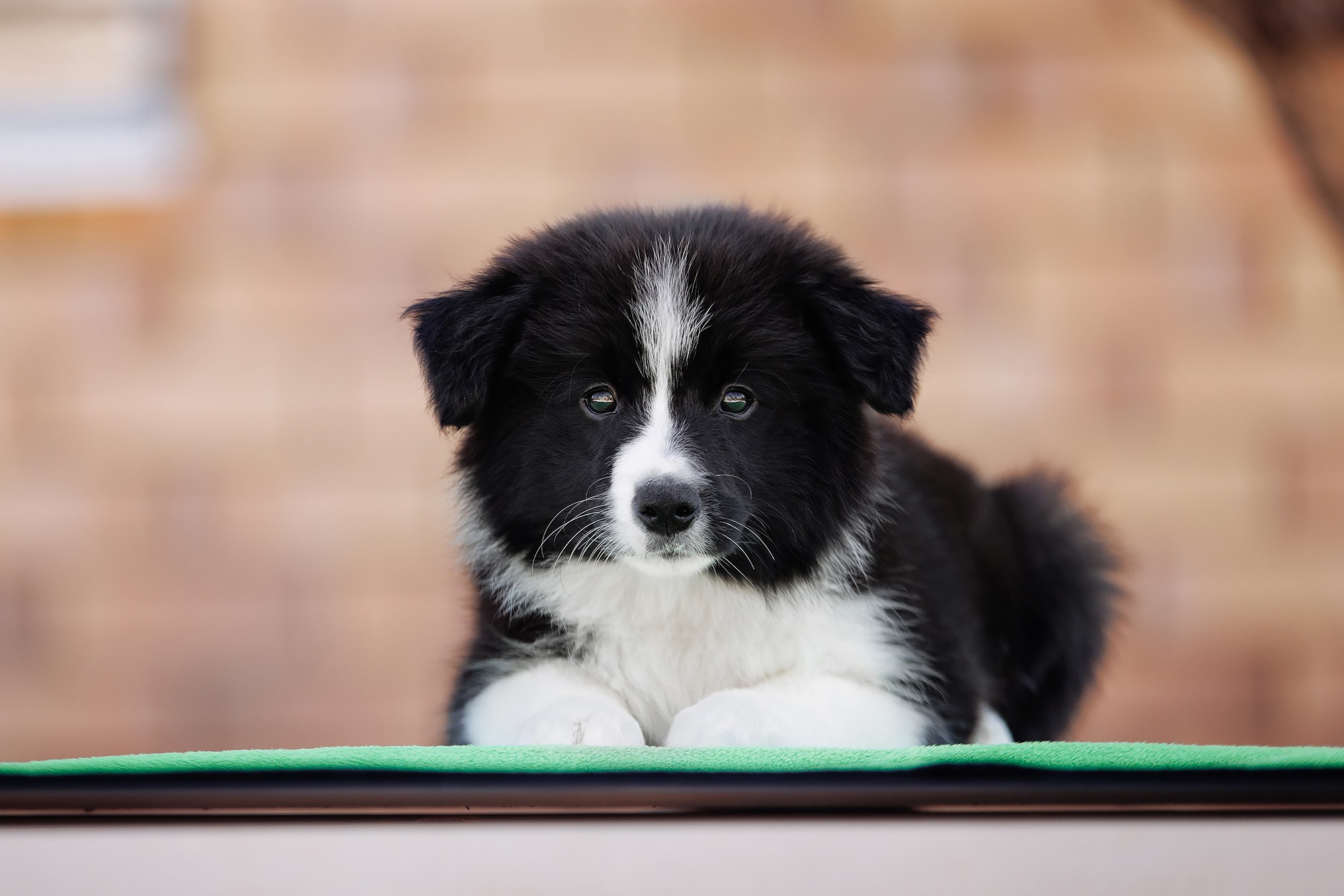 Трава у дома. О нас