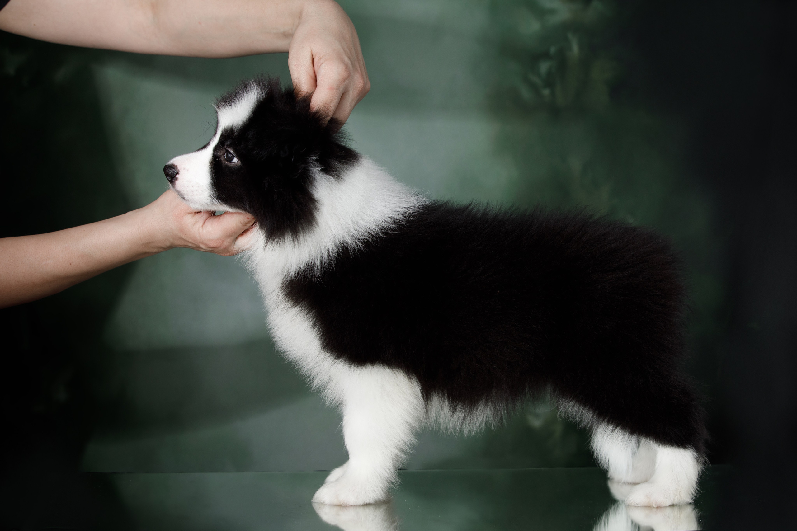 Март. Весна. 22. О нас