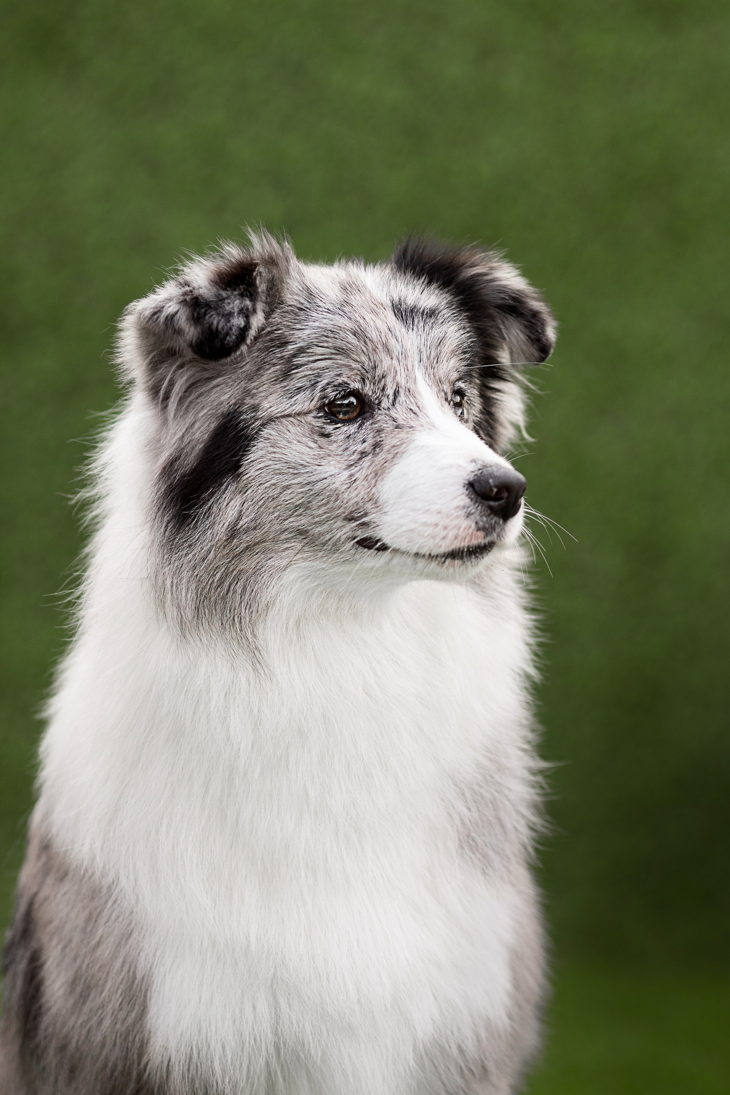 Роскошь в ростошах. О нас