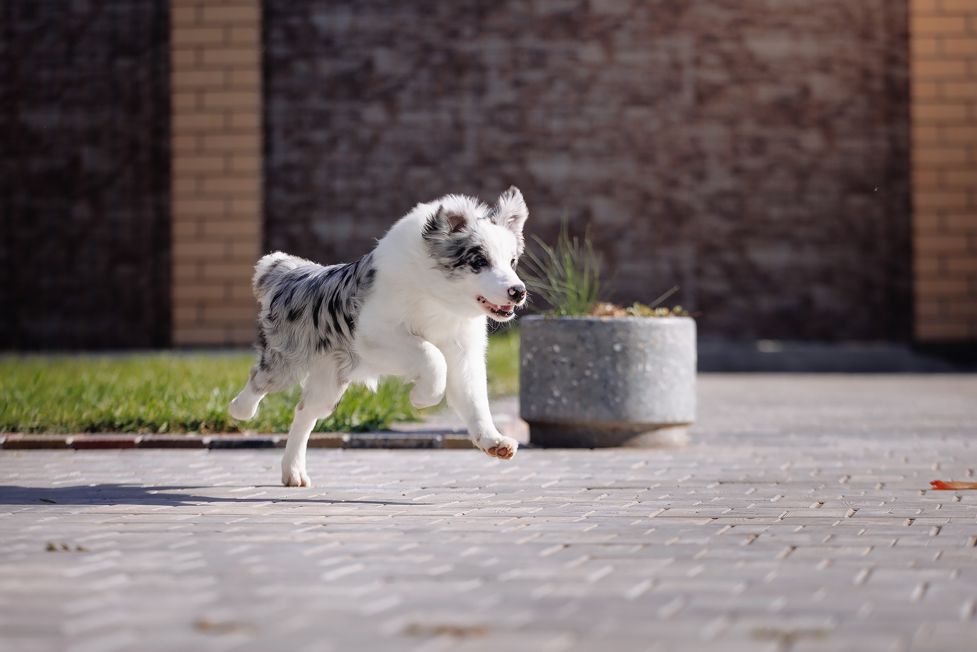 Трава у дома. О нас