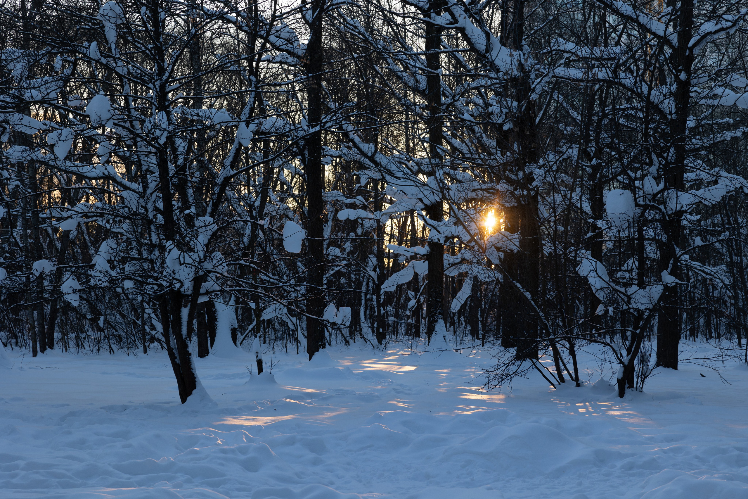 Art prints. Фотограф алина стерхова, алина стерхова фотограф, фотограф москва