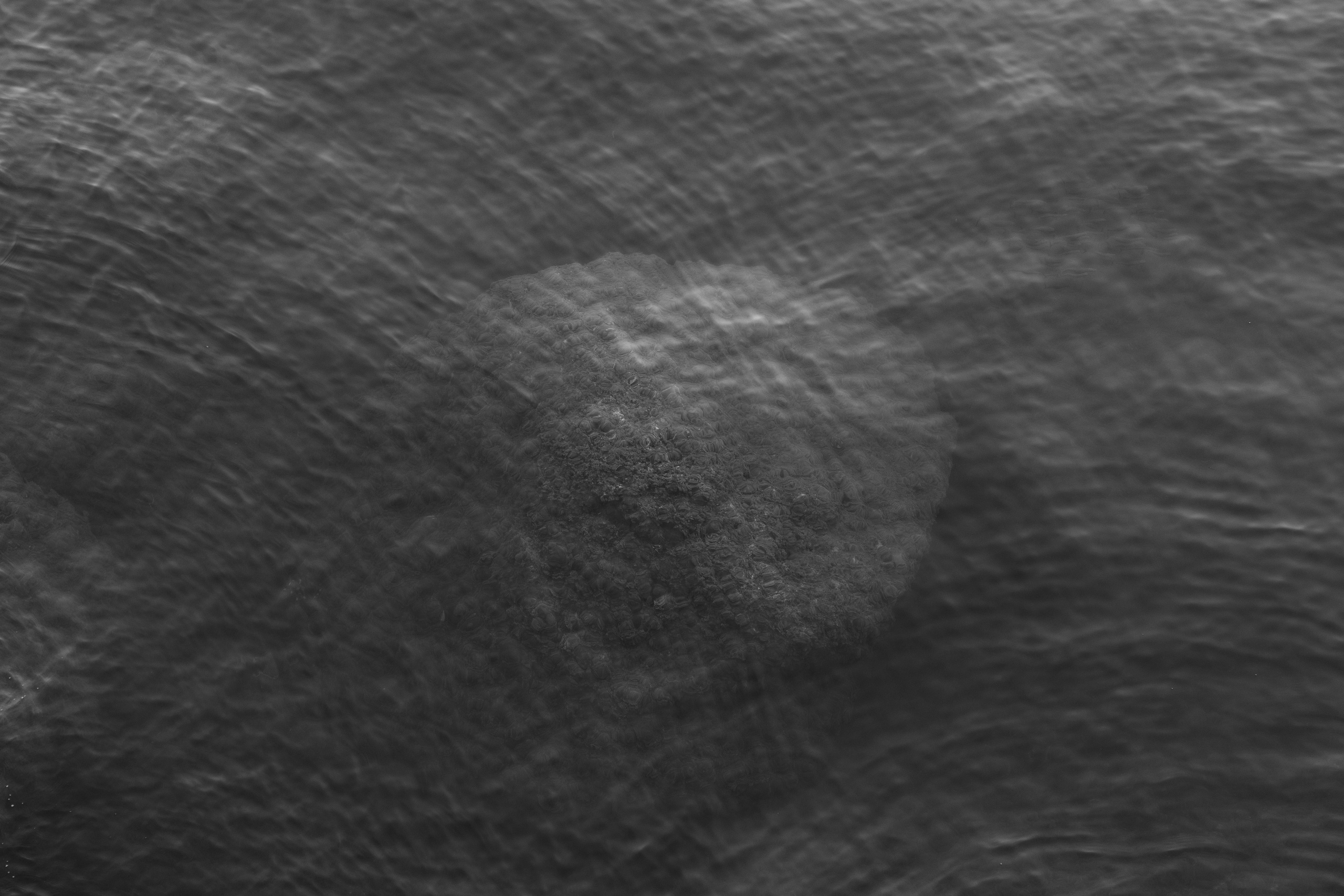 Art prints. Фотограф алина стерхова, алина стерхова фотограф, фотограф москва