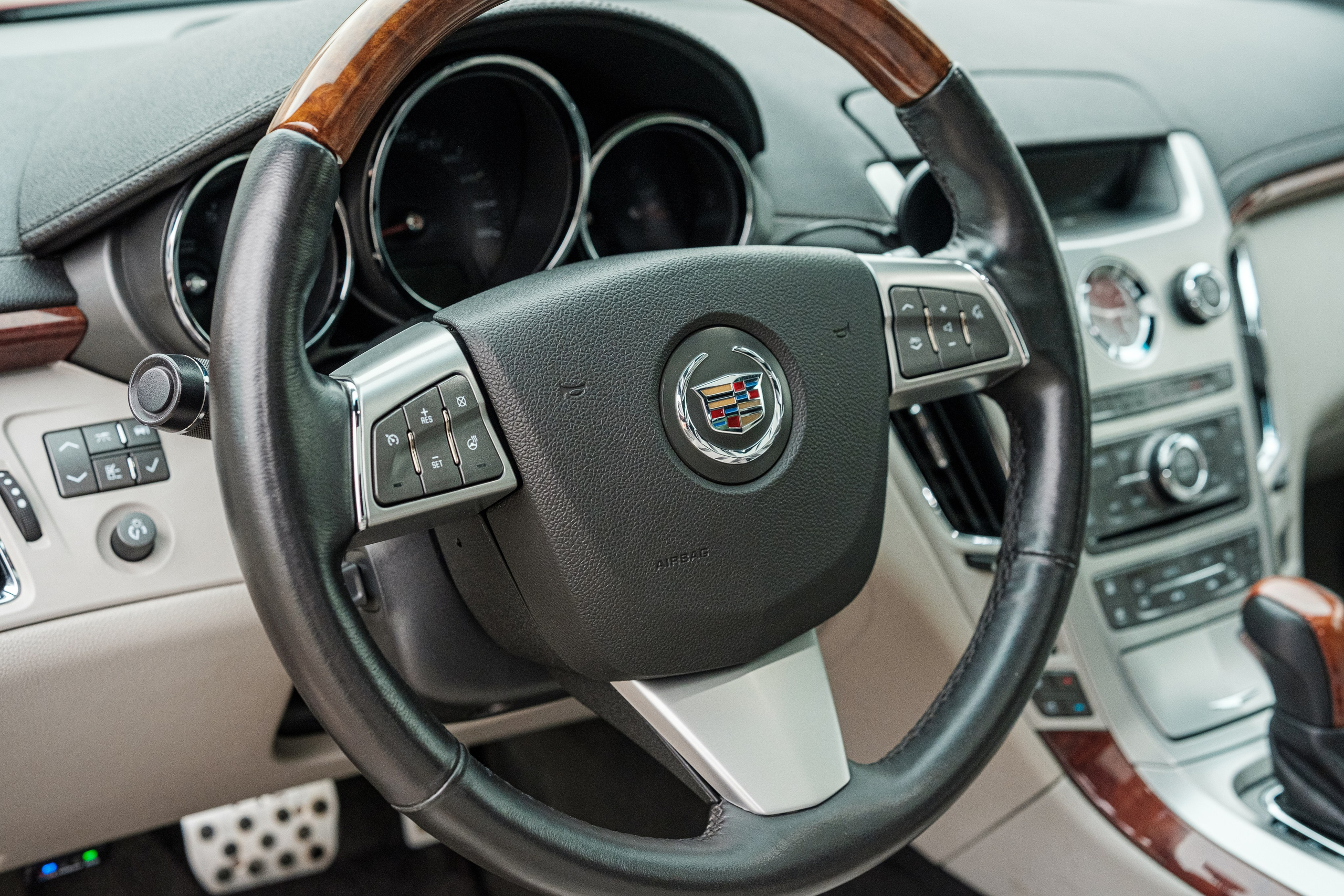 Кэдди. Алексей Никифоров фотограф Москва, Химки