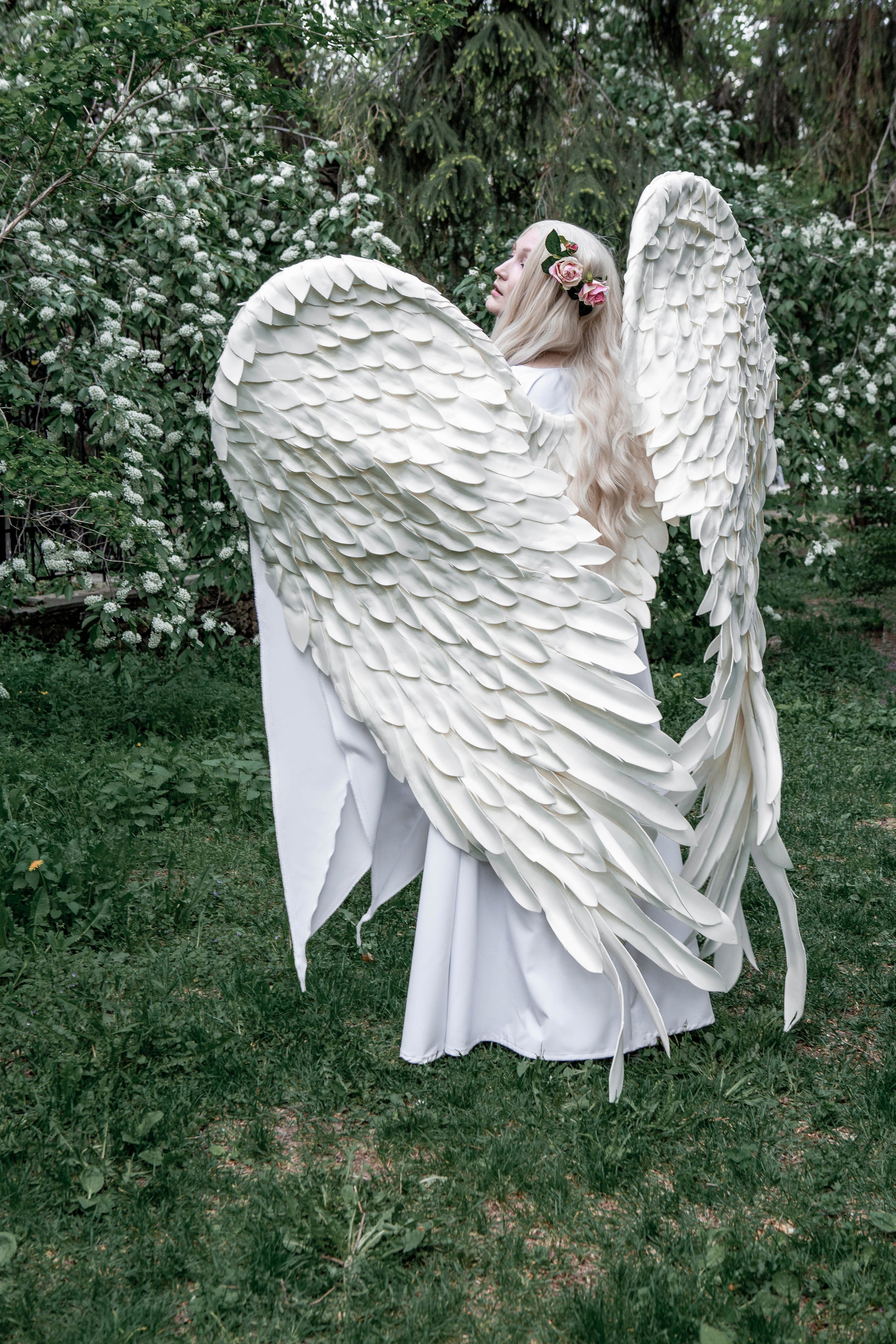 Майское цветение. Фотограф Екатерина Голицына