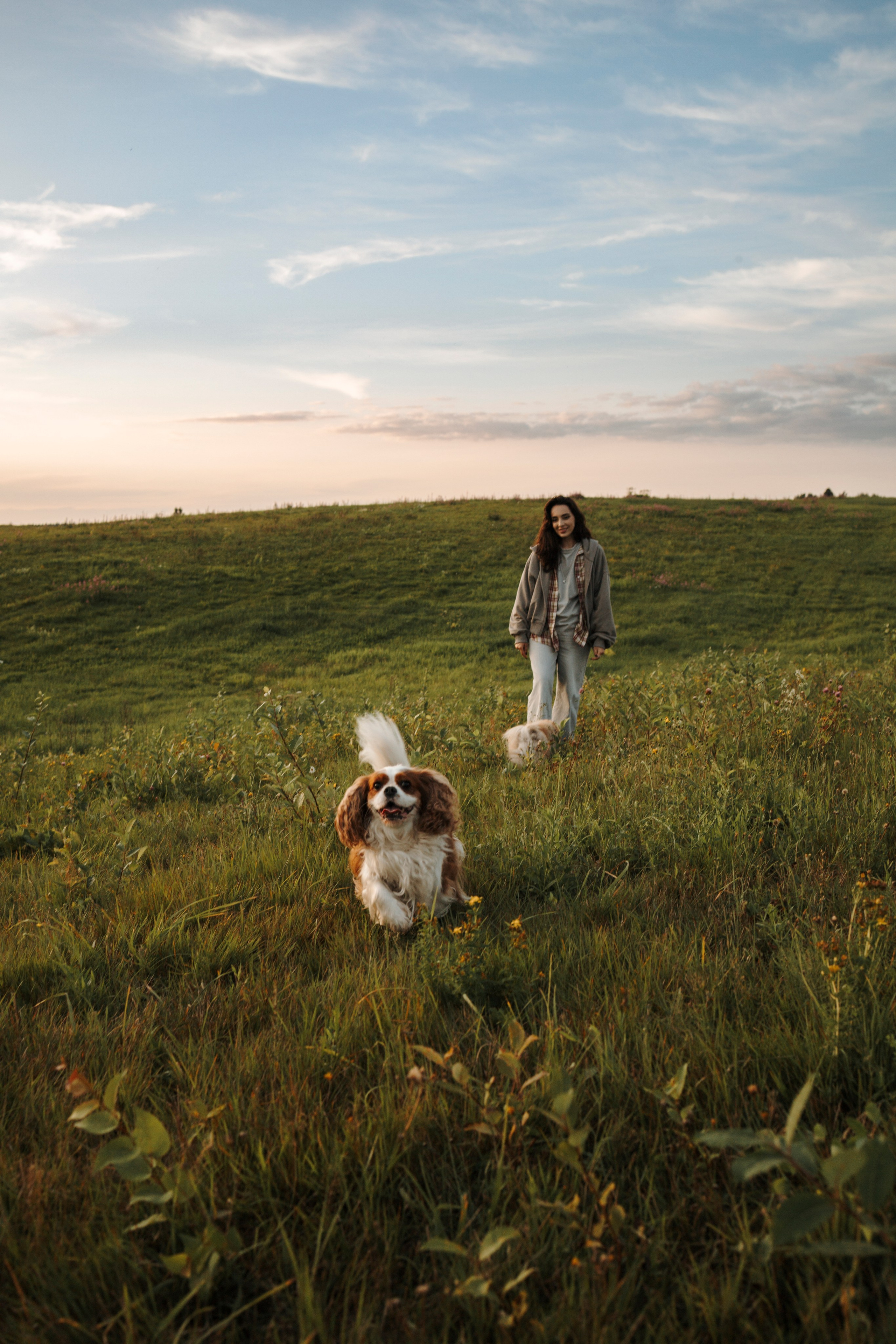 На закате Катерина, Луна и Рикки. Фотограф-анималист в Санкт-Петеребурге Титова Алиса