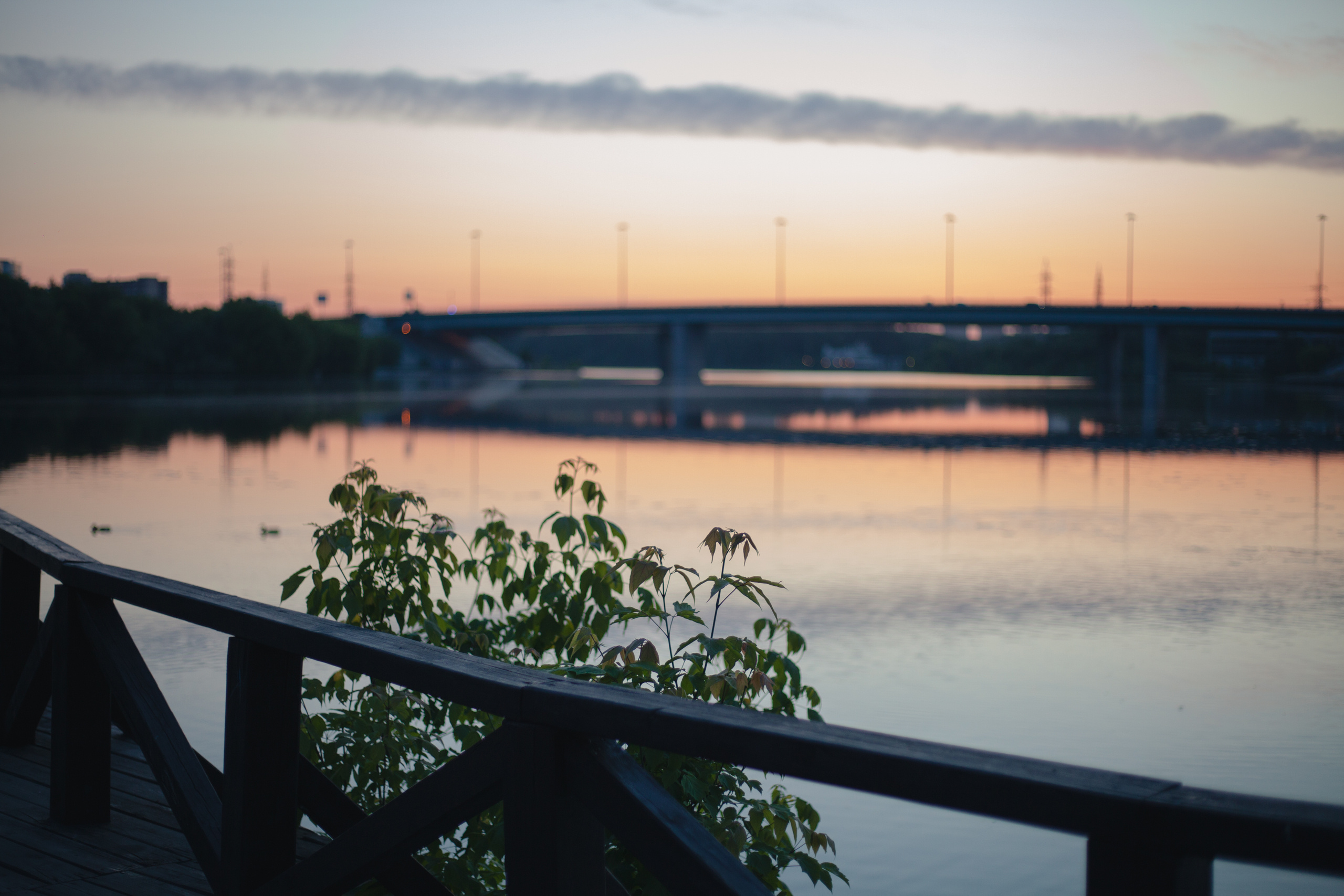 Morning mist. Photographer in Serbia Azaliia Fomina
