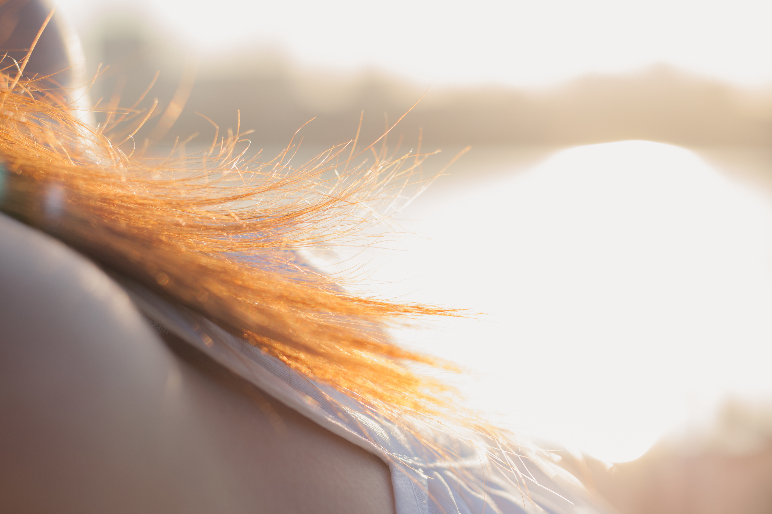 Morning mist. Photographer in Serbia Azaliia Fomina