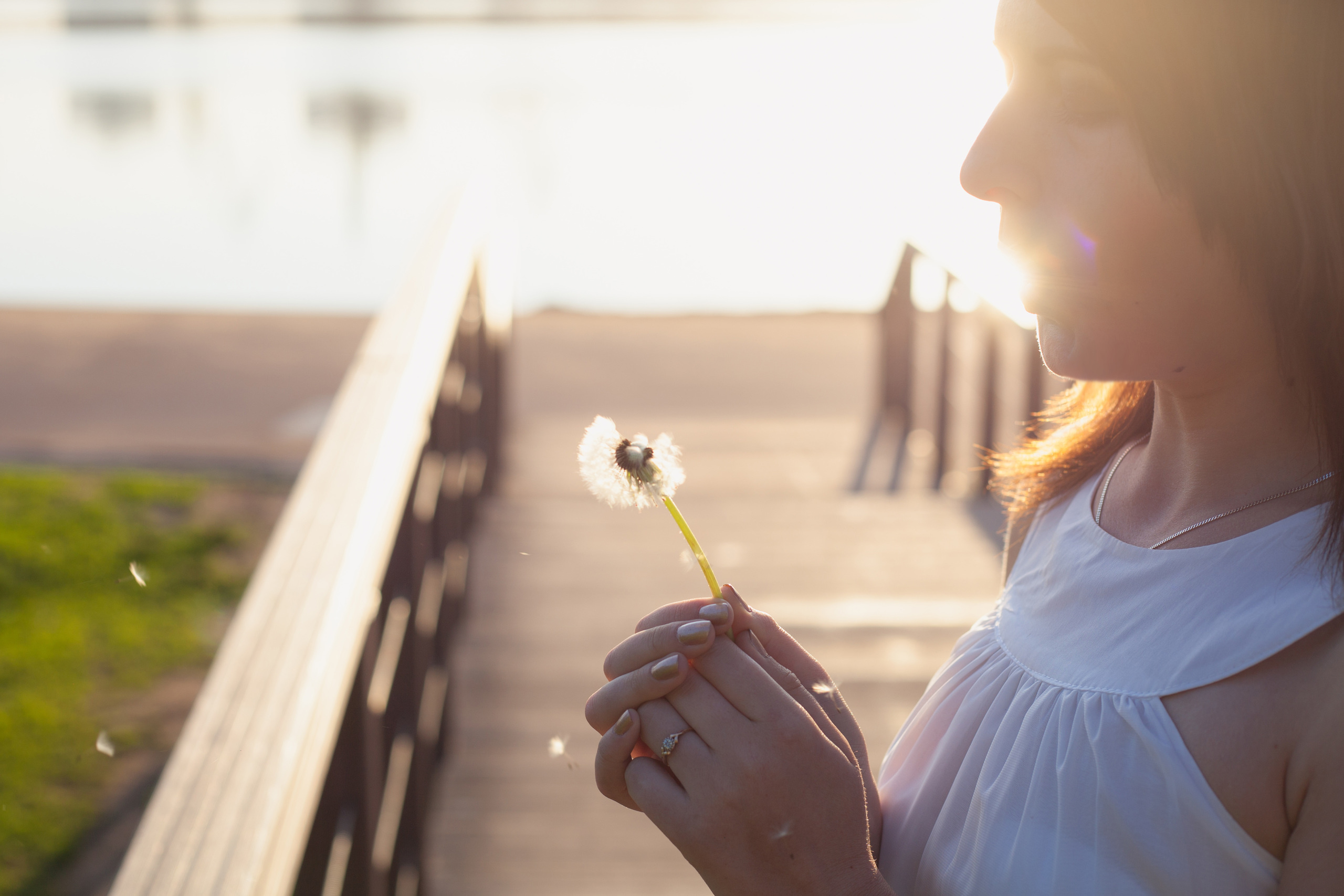Morning mist. Photographer in Serbia Azaliia Fomina