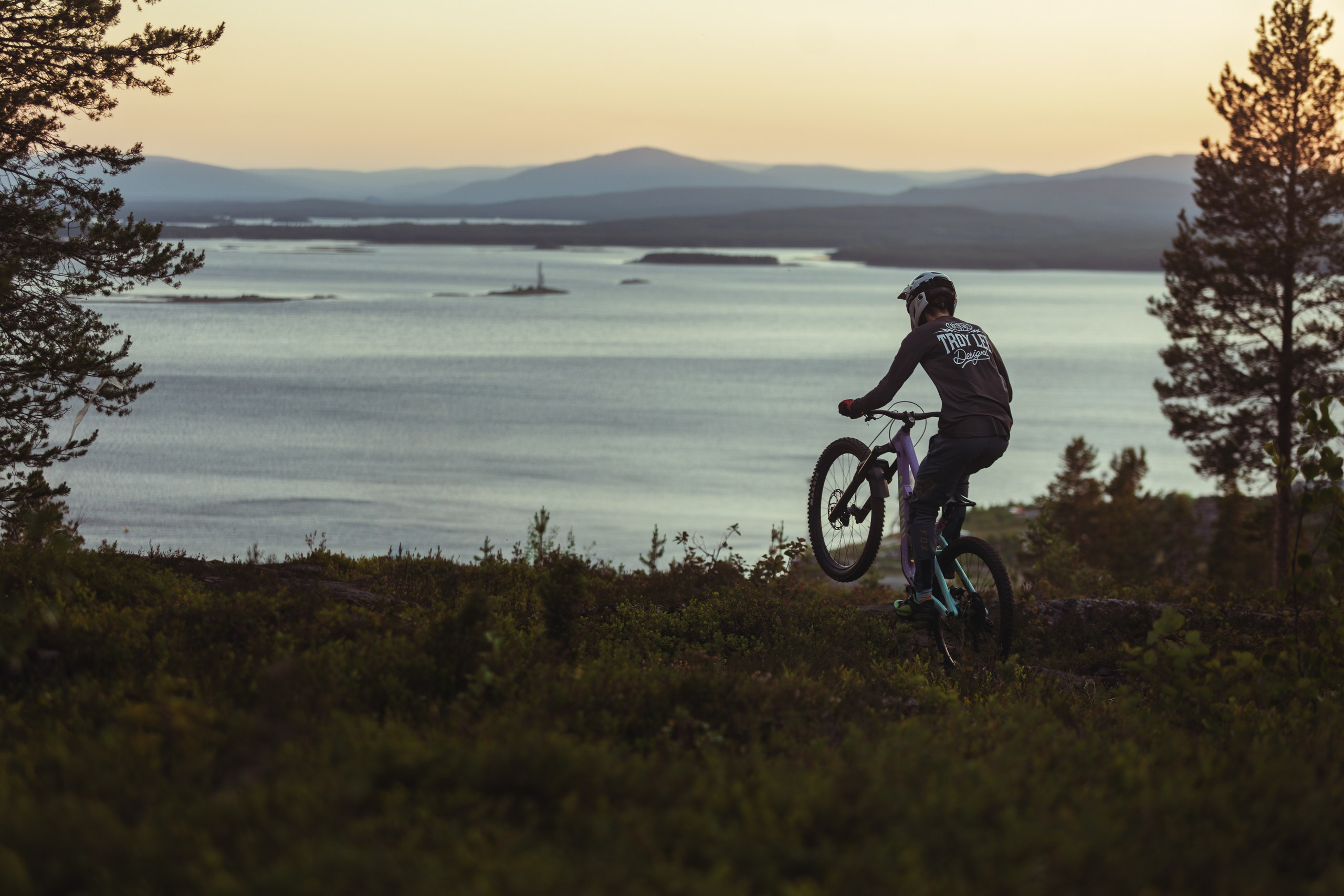Кандалакшка. Фотограф анималист Никита Натальный