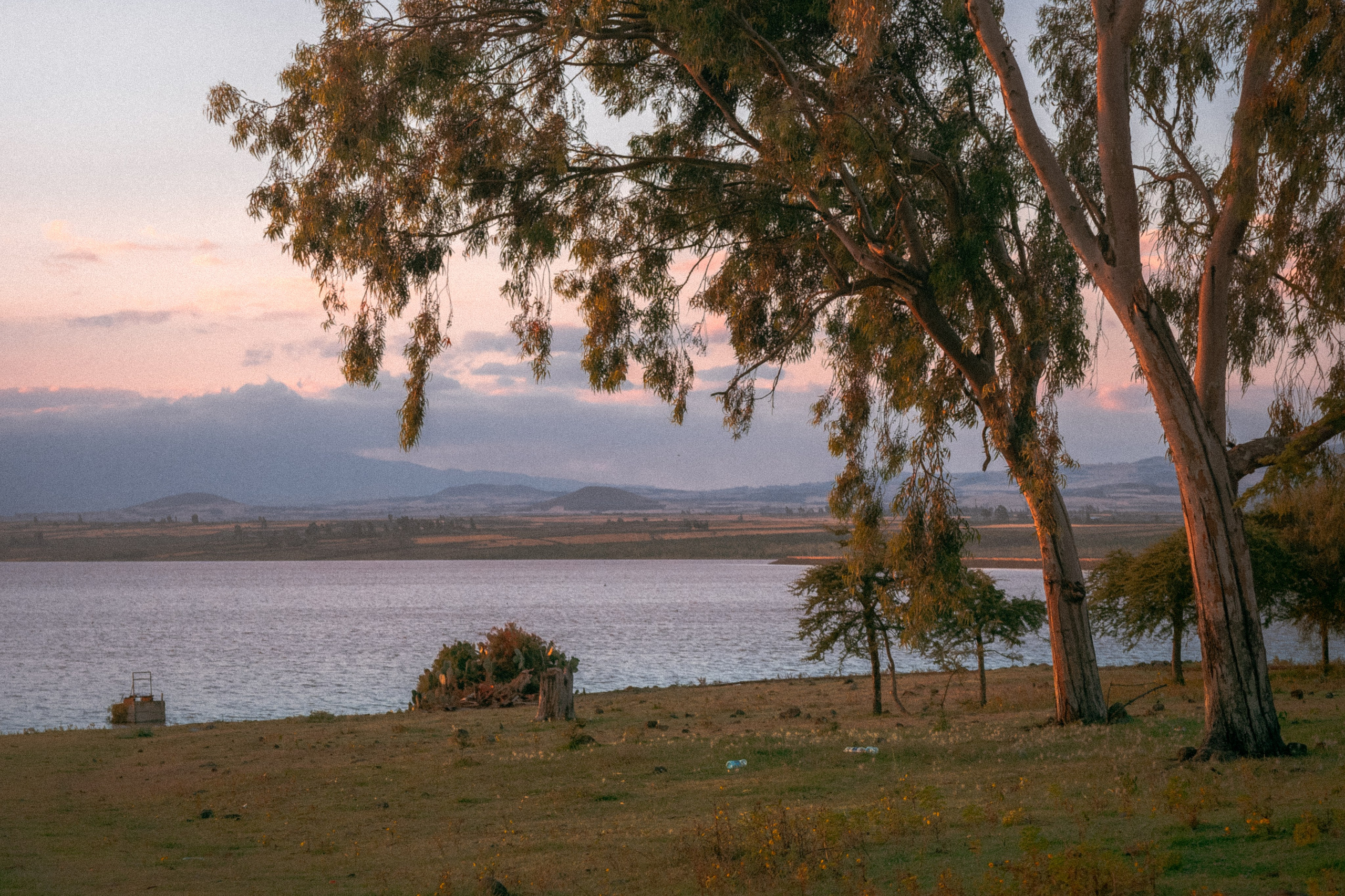 Плато жизни: Эфиопское нагорье. Юля Дэй • Фотограф, Санкт-Петербург