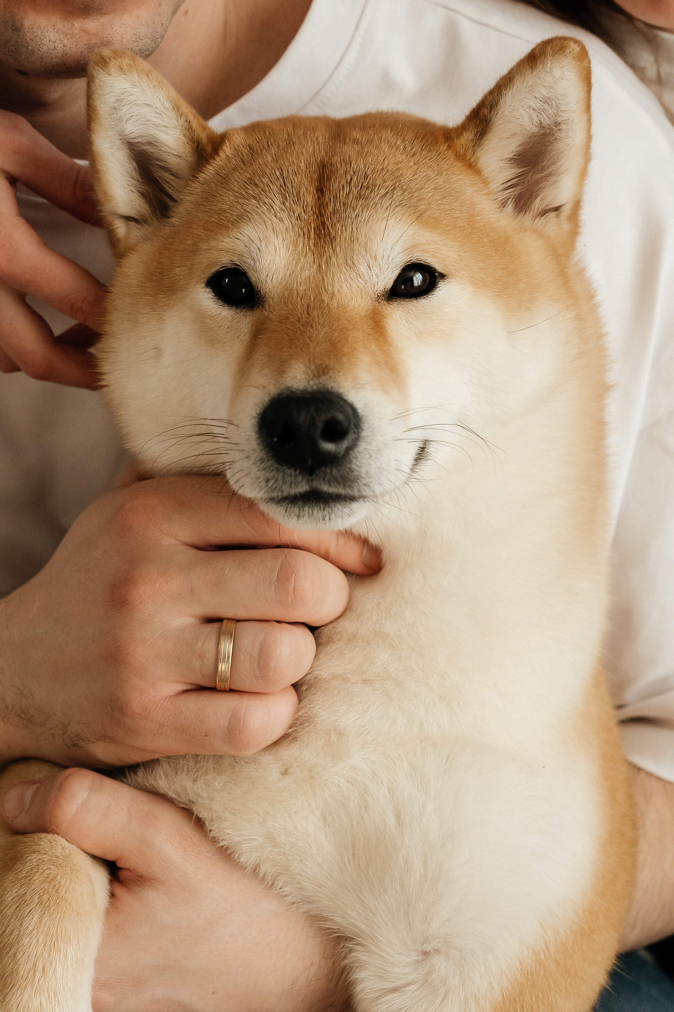 Семья Бусыгиных. Фотограф и видеограф в Тюмени Екатерина Чернецкая
