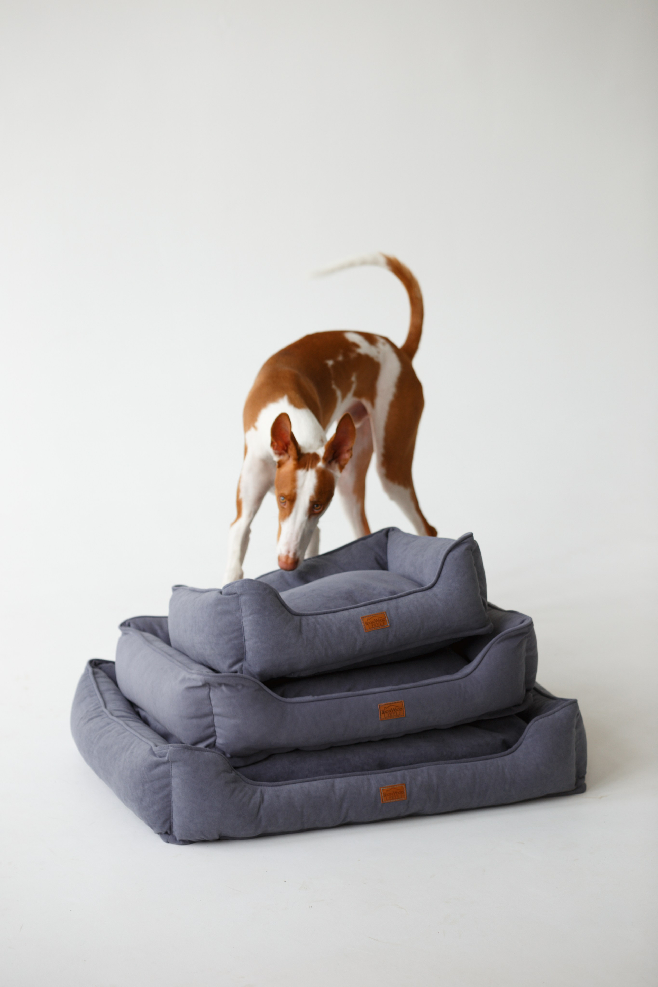 Boonwood Pets лежанки для животных. Фотограф анималист Кристина Карпова, Москва