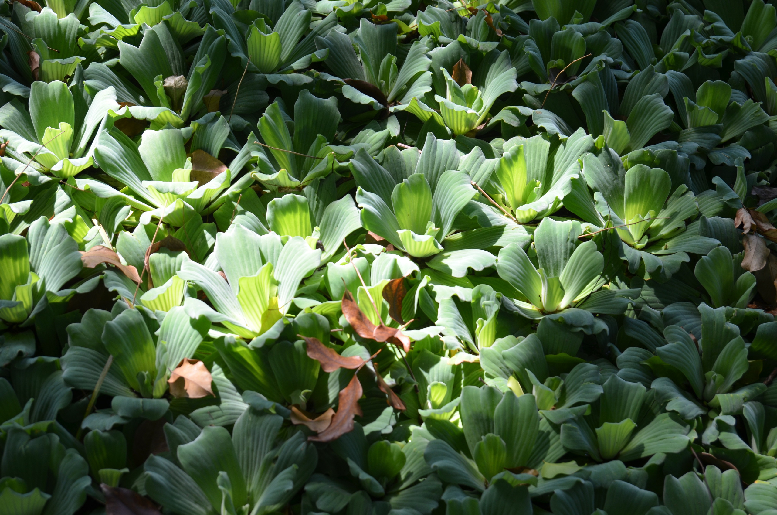 Визуальный дневник фотографа