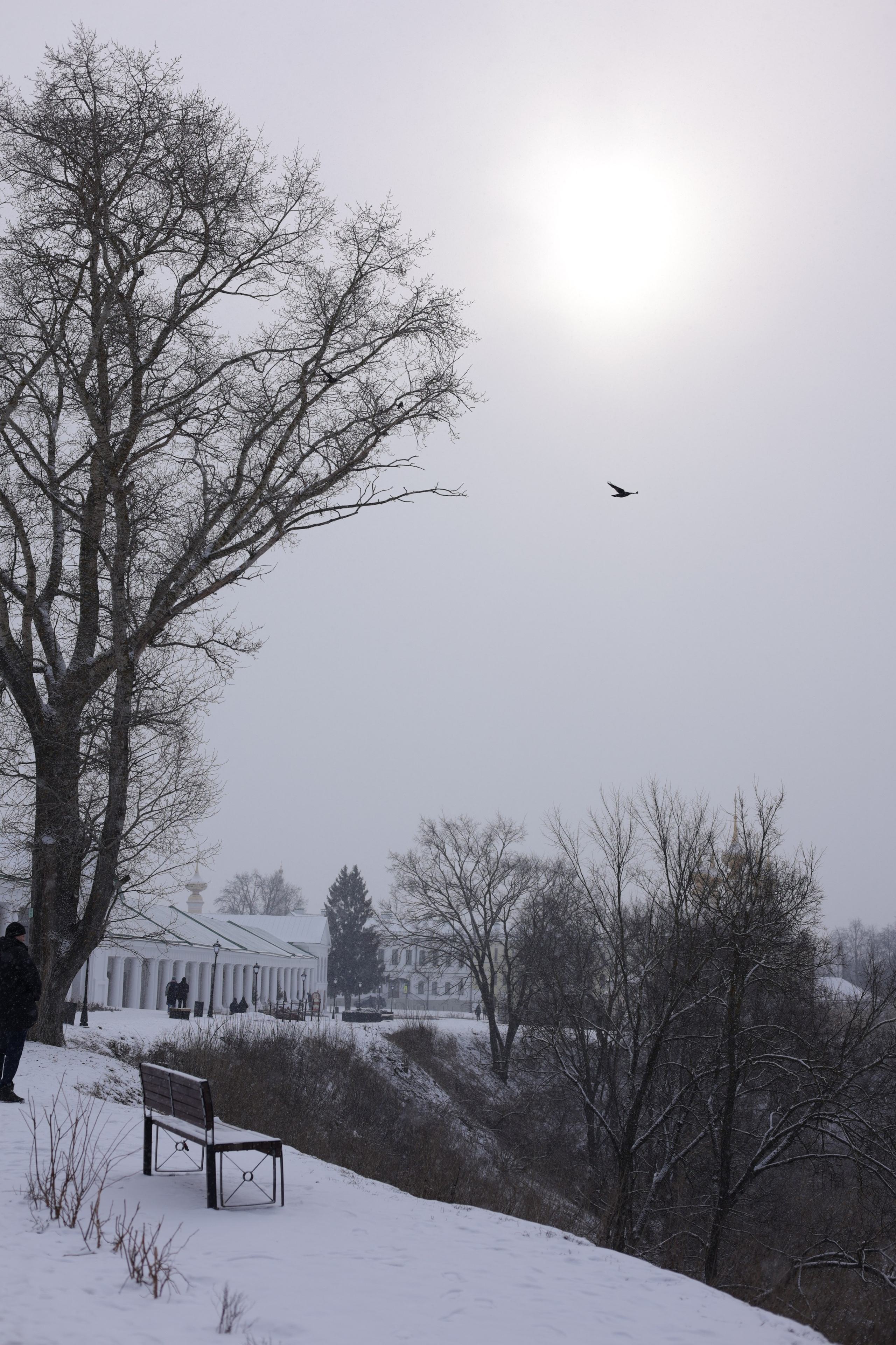 Суздаль. Сайт фотографа Ирины Аникановой