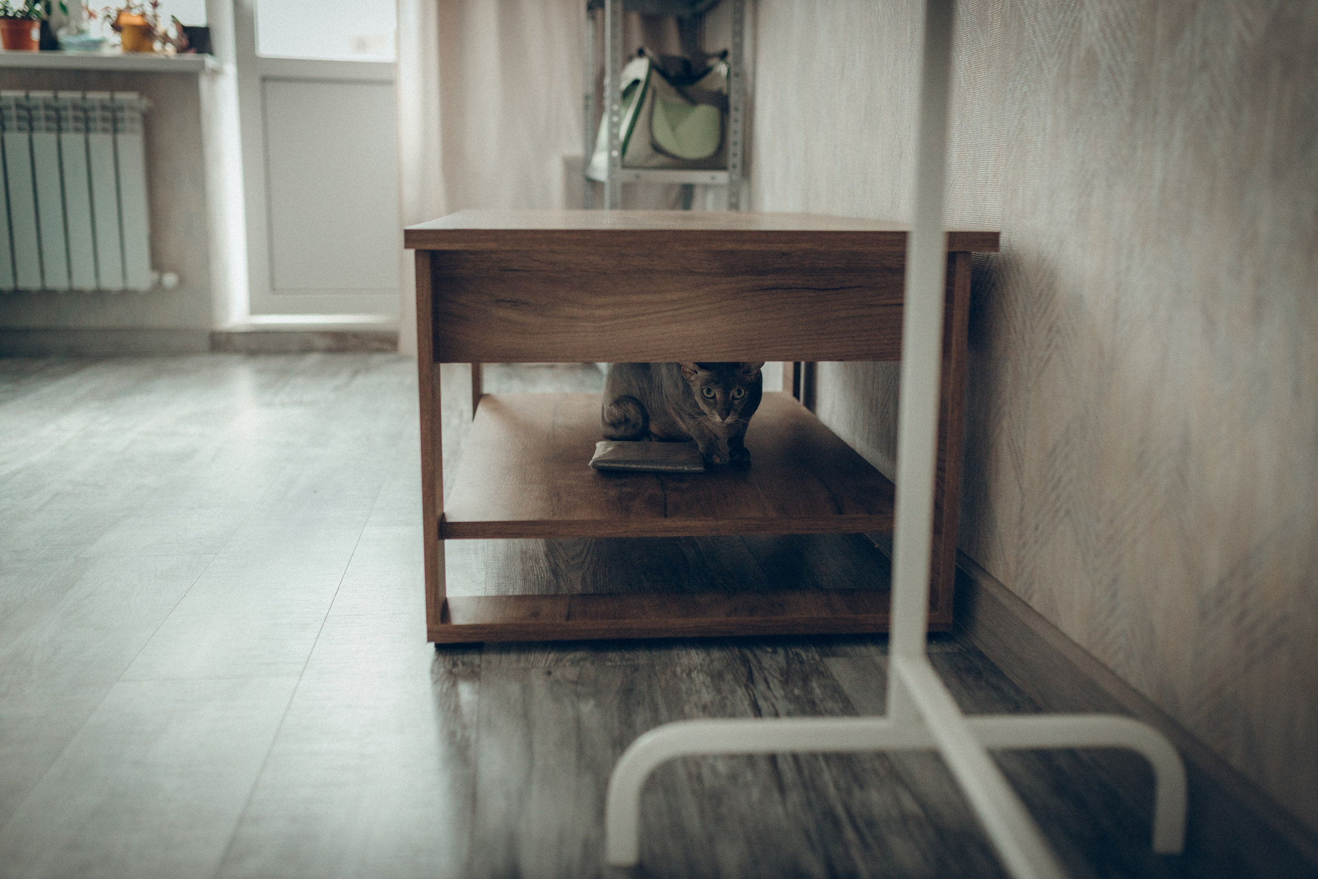 Света, Женя, Кирилл и Мышка. Семейный фотограф и фотограф на роды в Ростове-на-Дону Мухина Виктория