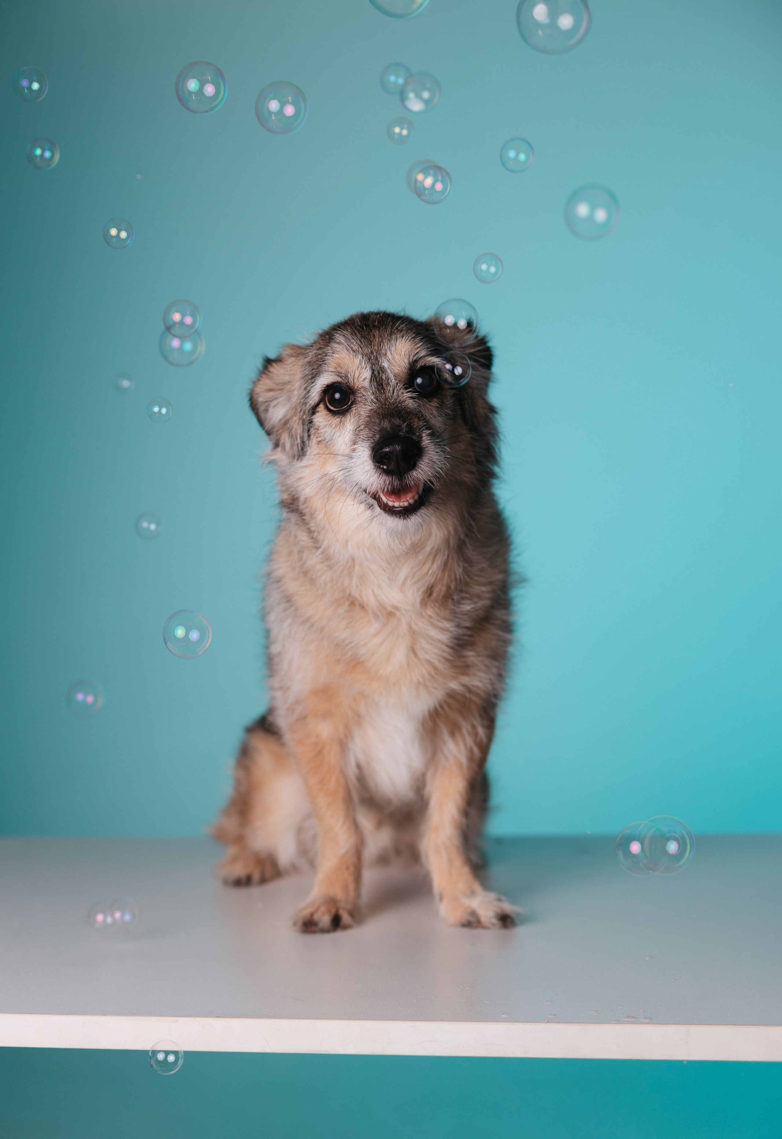 Неон 2 (фотодень). Фотограф анималист Кристина Карпова, Москва