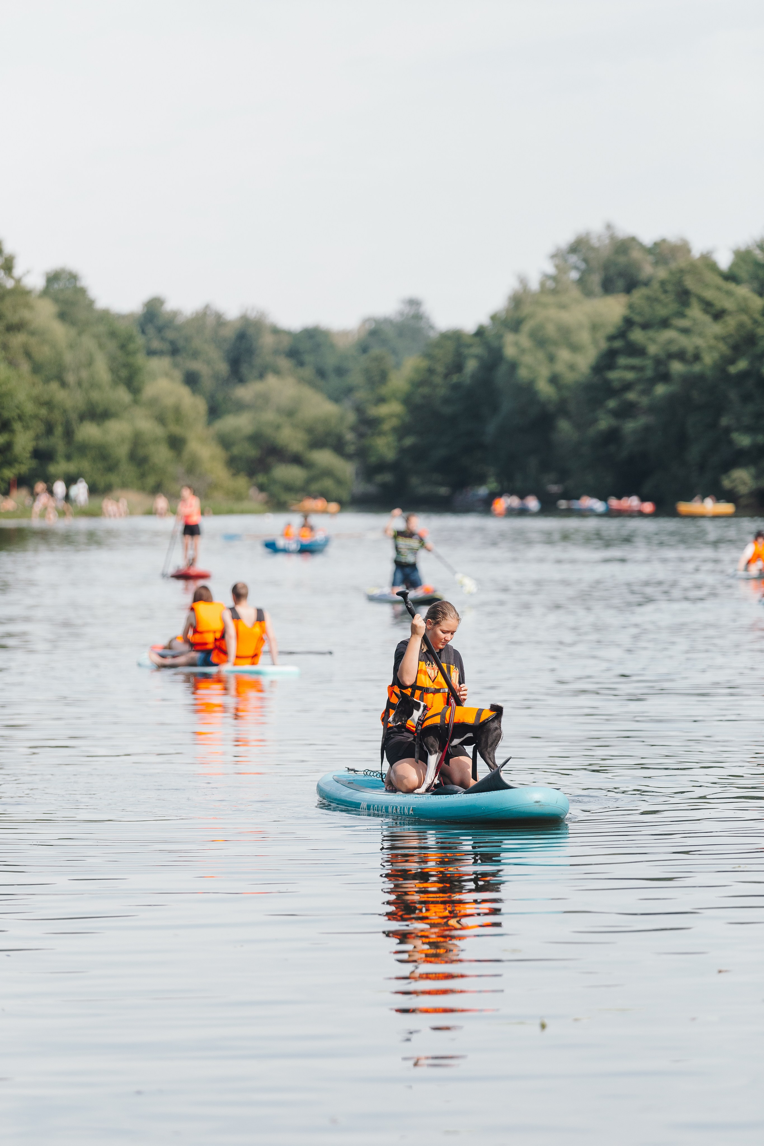 Petshop Sup day. Фотограф анималист Кристина Карпова, Москва