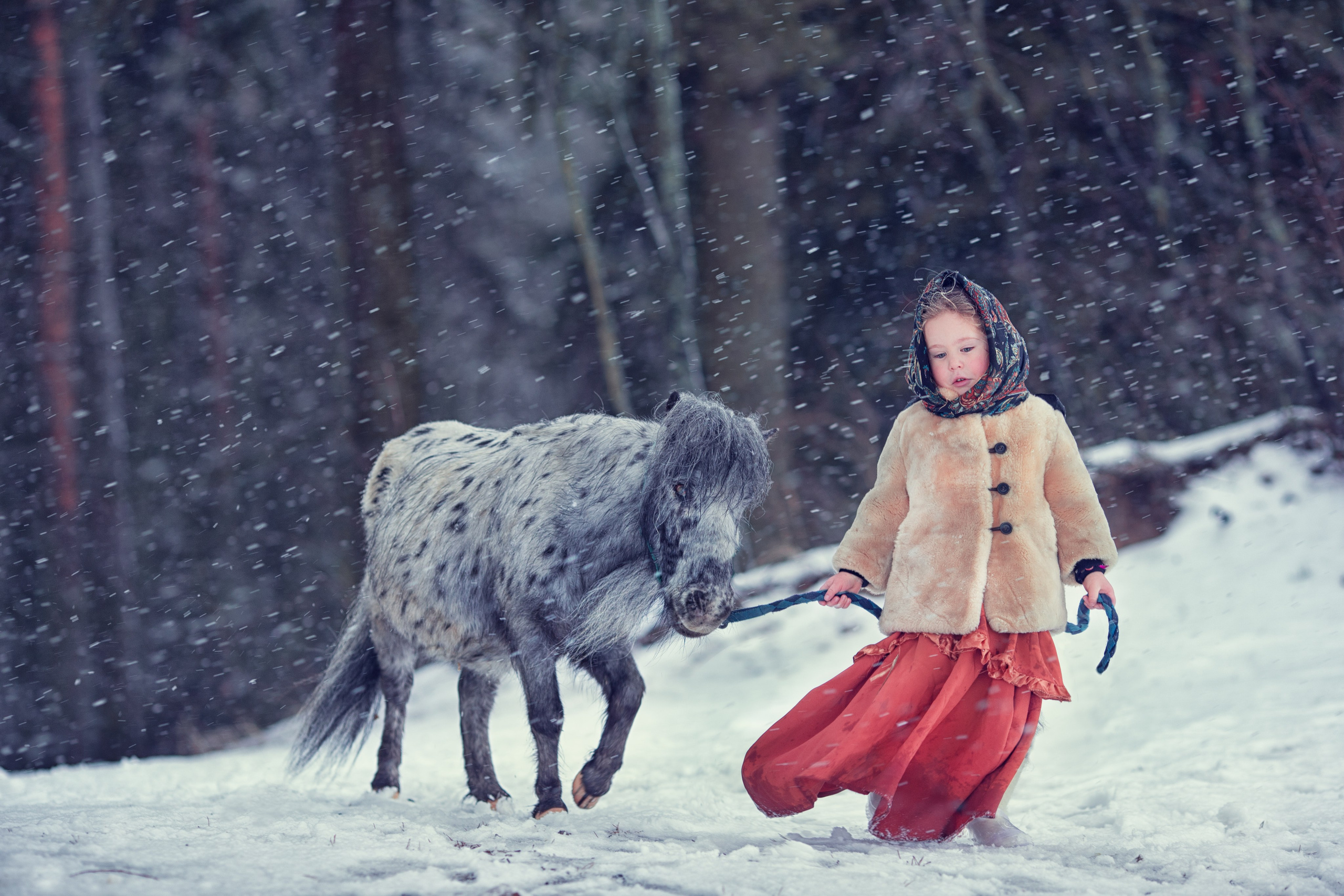 Портфолио. Карнеева Елена. Детский, семейный фотограф
