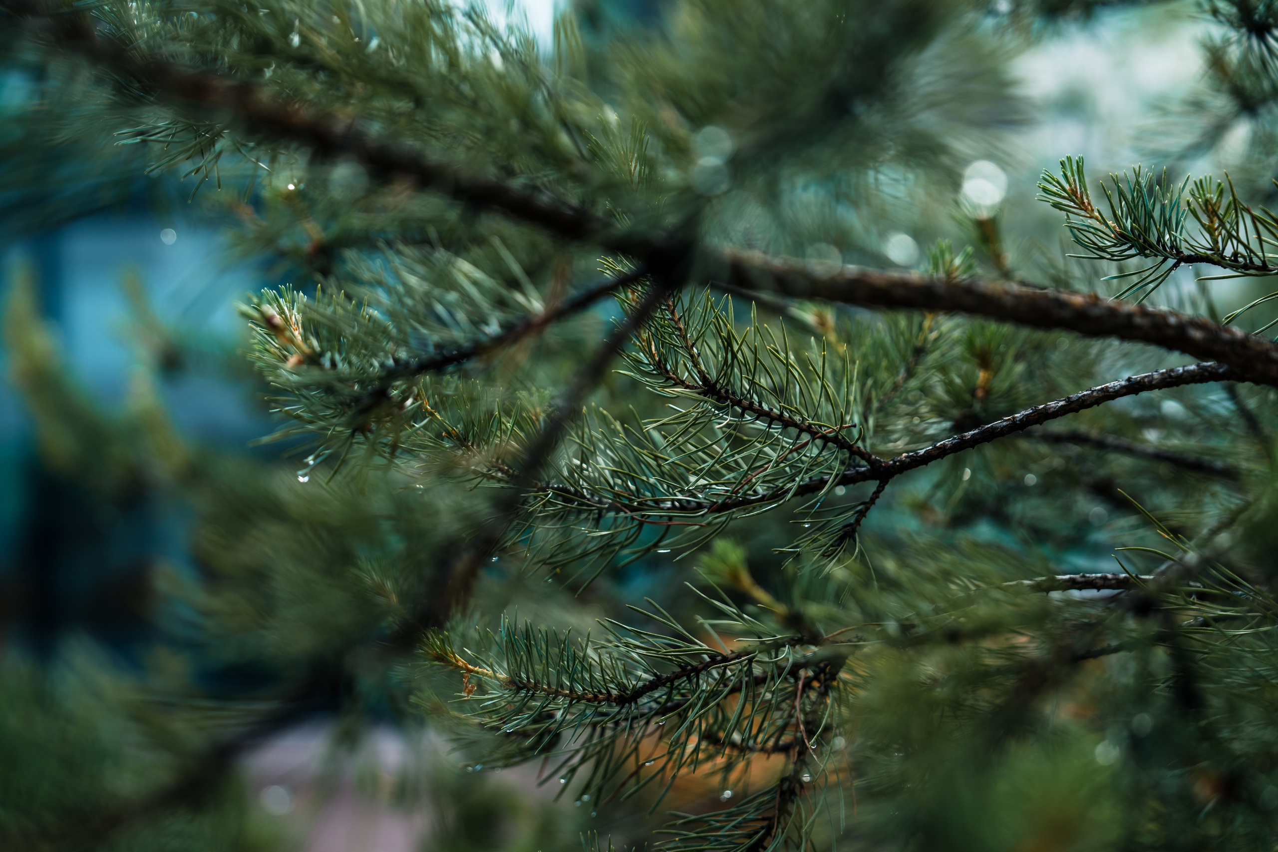 Moments, FORMA. @tomrus: Рустам Шагиморданов — фотограф