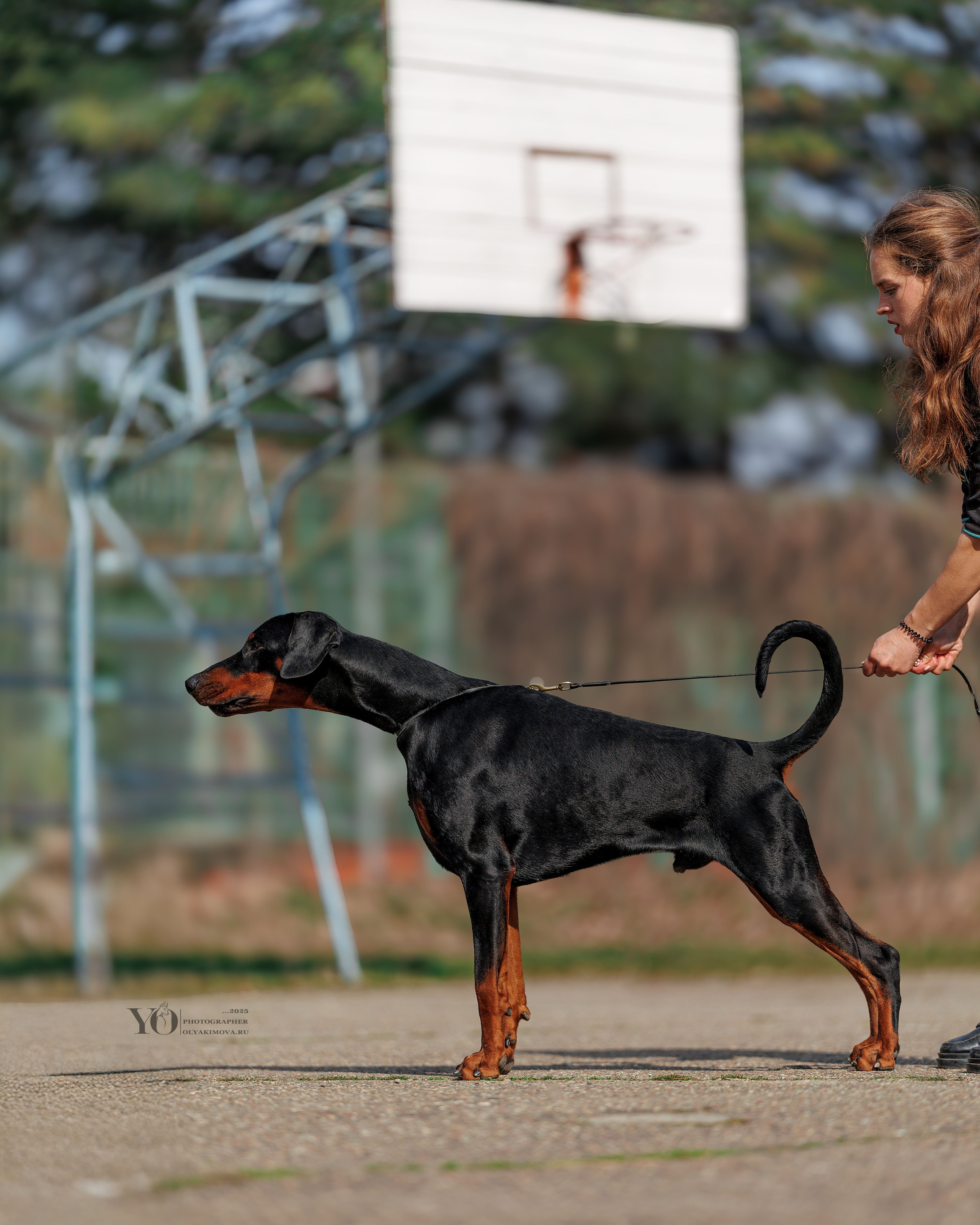 Экстерьер. Фотограф