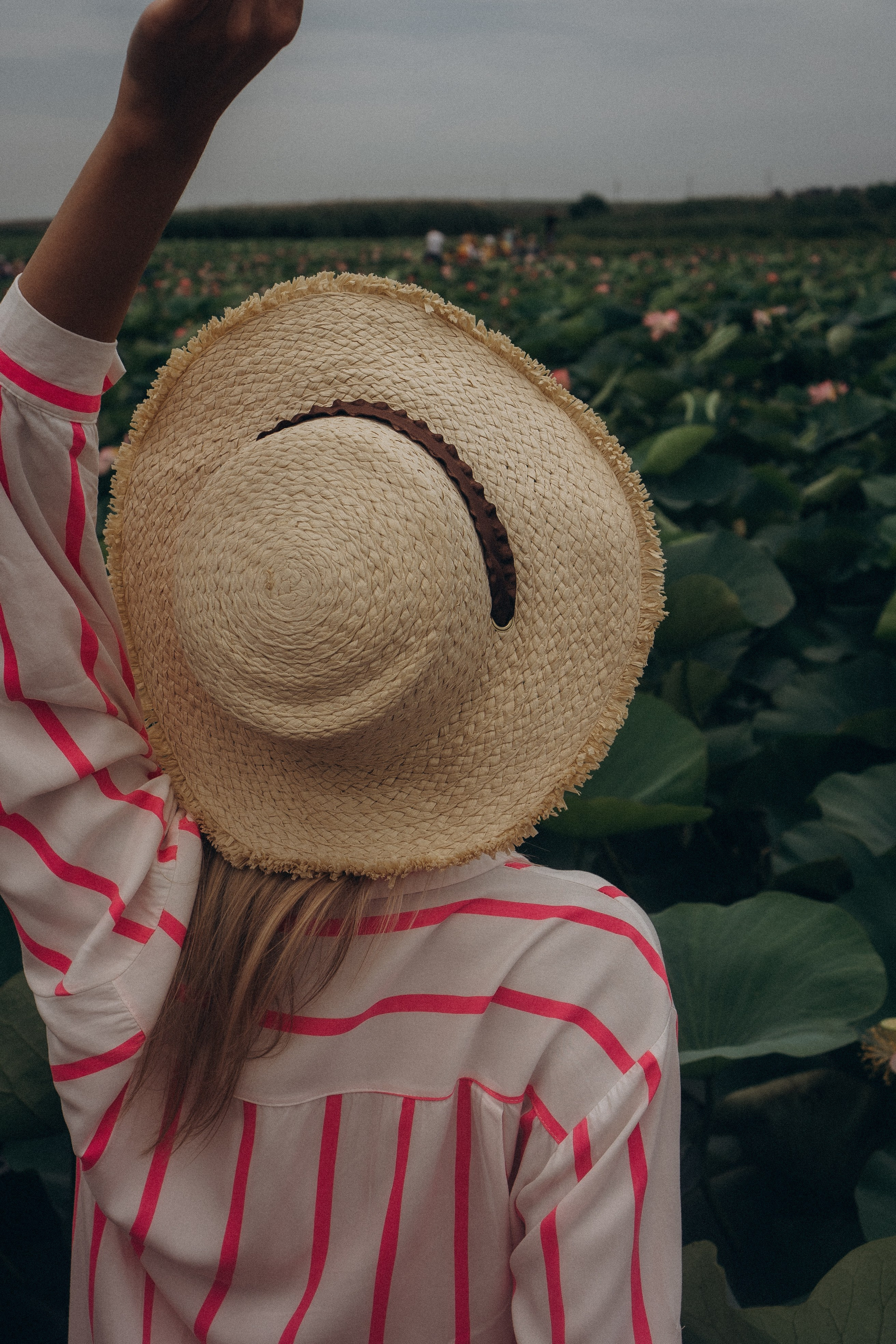 ЛОТОСОВАЯ ПОЛЯНА. Профессиональный фотограф, Санкт-Петербург — Виктория Богомолова