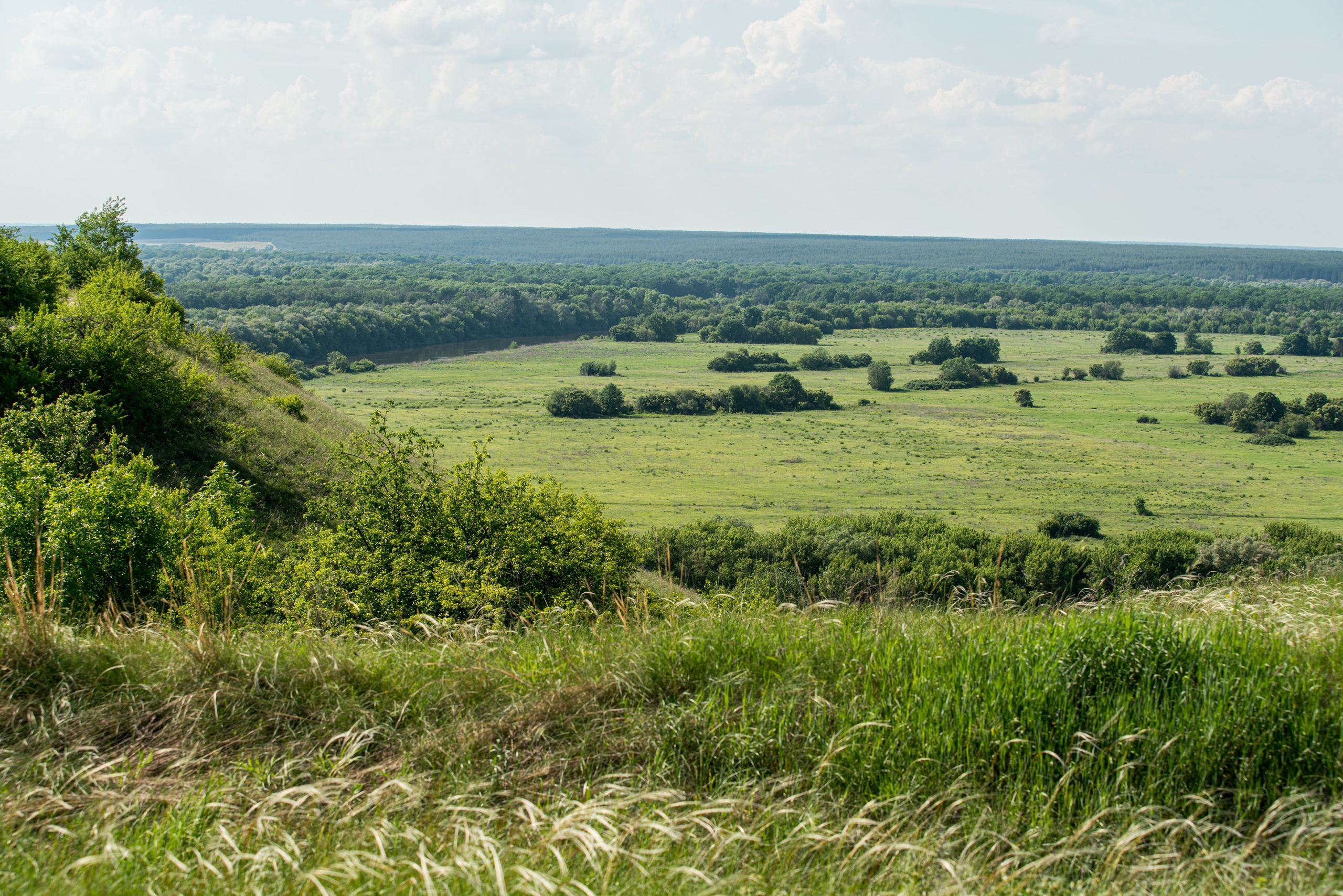 Белогорье, Воронежская область 2017. Фотограф Василий Буланов