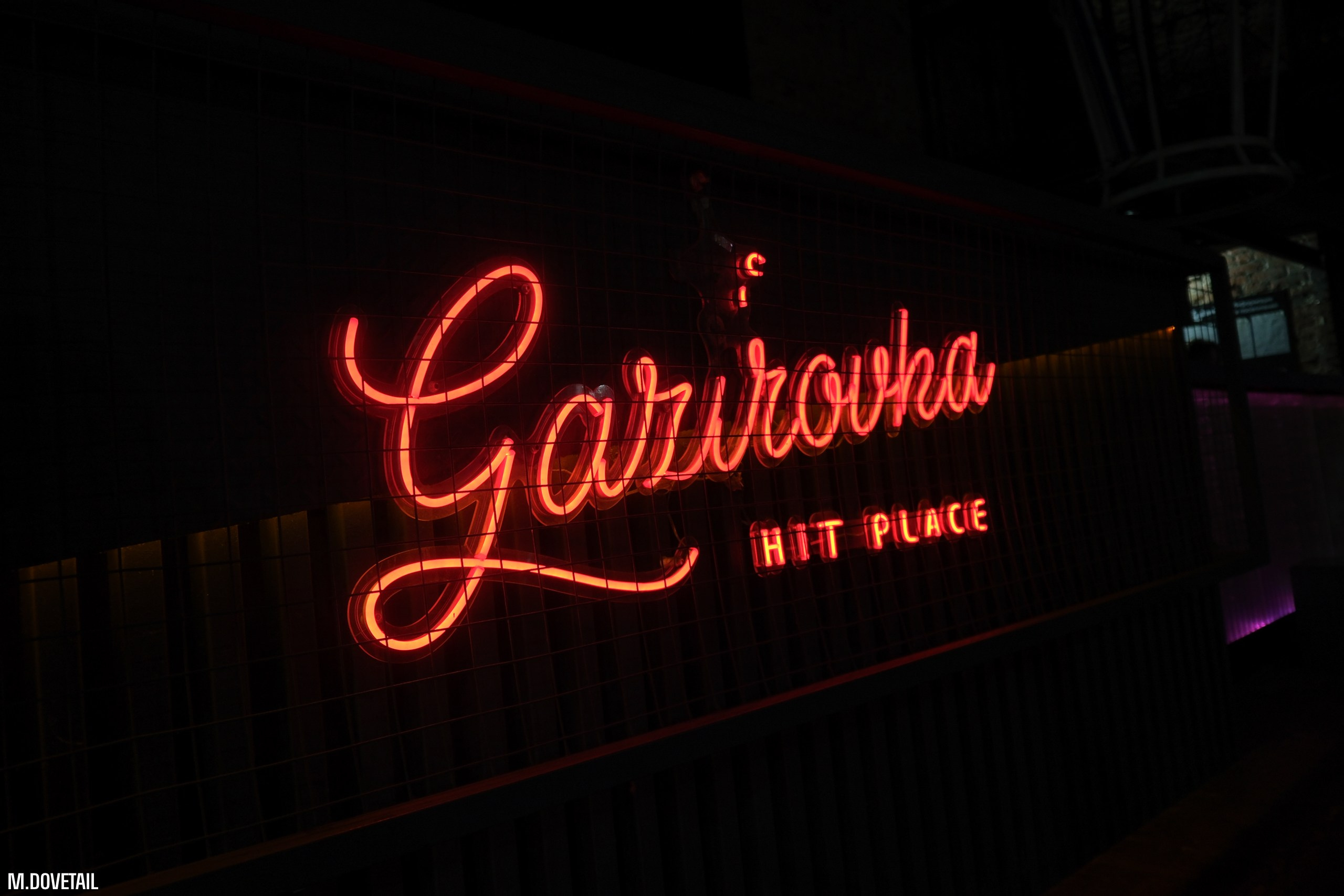 ПОСВЯТ ЧГПУ 2024 | MEMES PARTY. Mike Dovetail | Портретный и репортажный фотограф