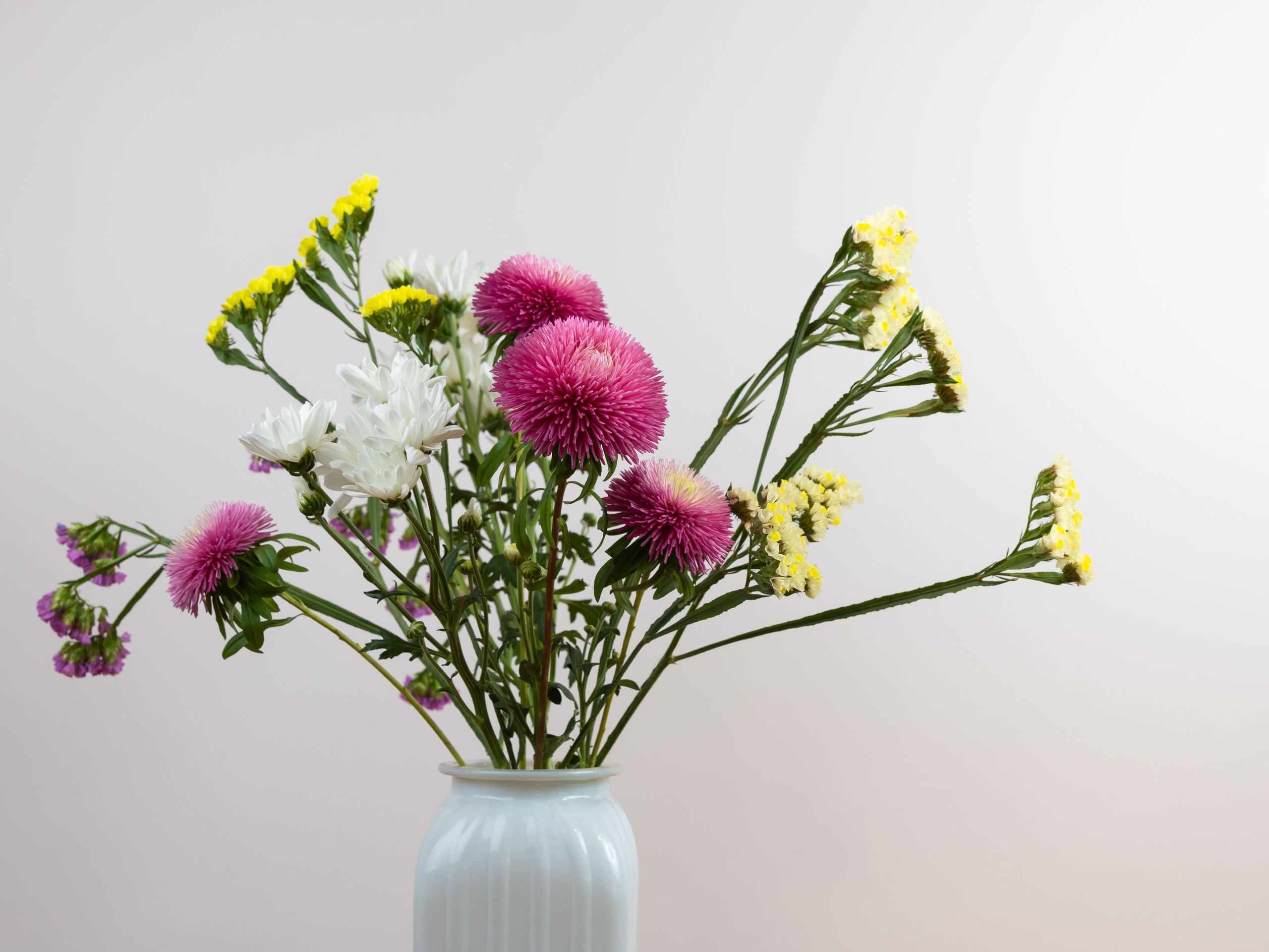 ПРЕДМЕТКА. ФОТОГРАФ ВИНОГРАДОВА ДАРЬЯ