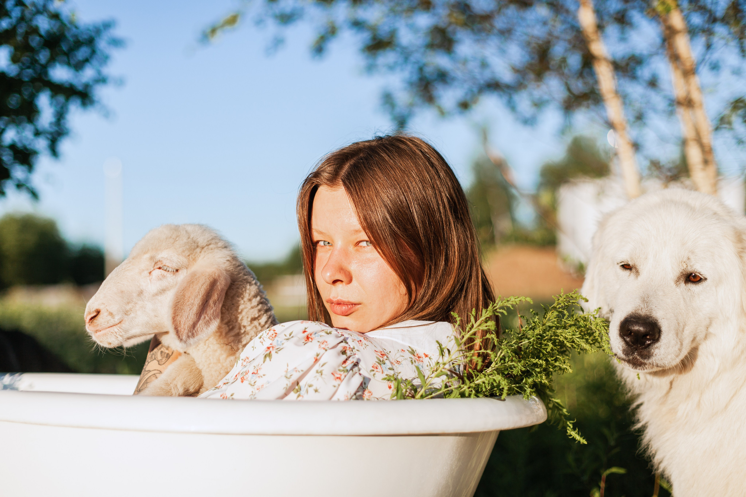 Ванна в поле. Фотограф-анималист Татьяна Степанова