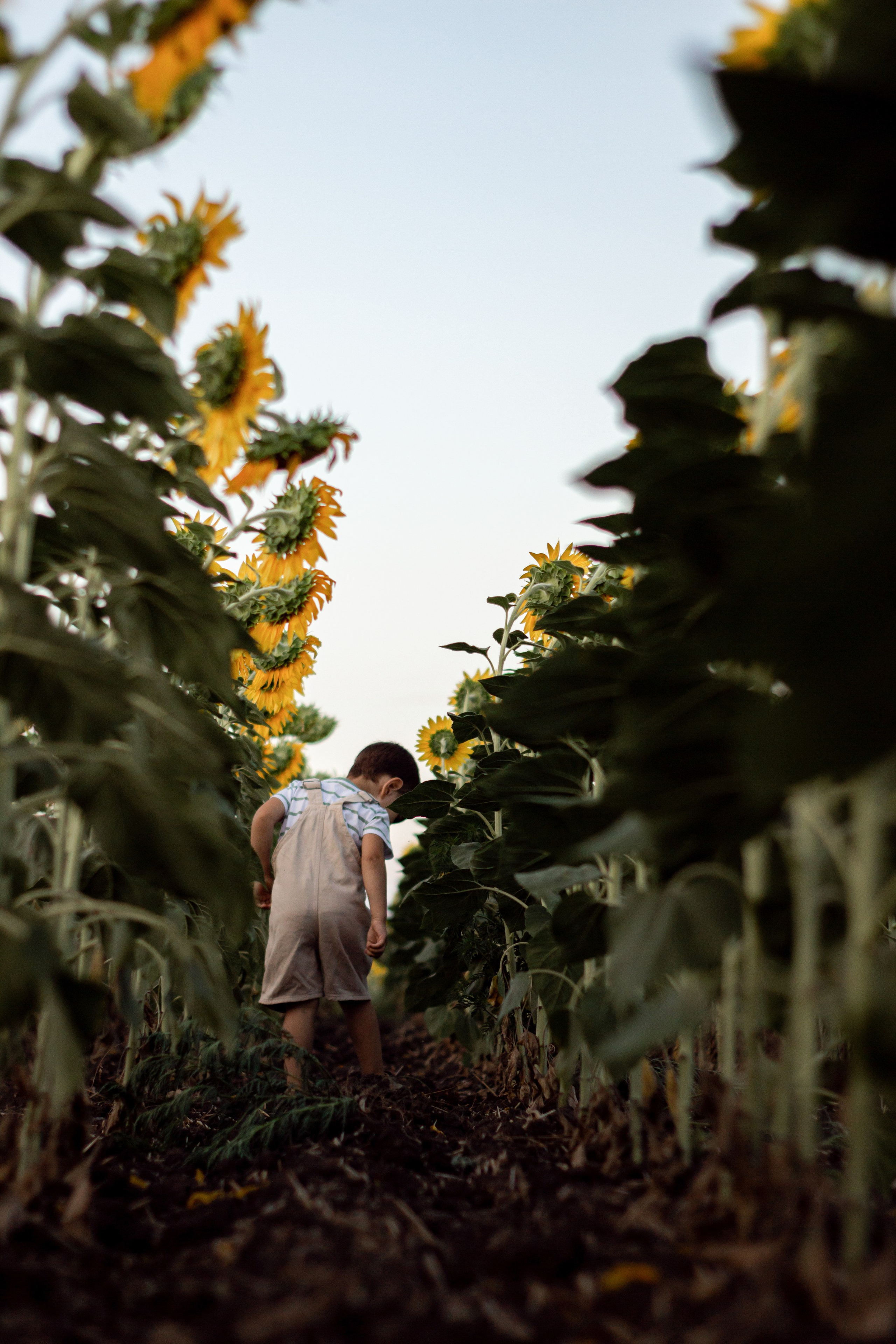 Детская съемка. Наталья Сологуб|Фотограф|Ростов-на-Дону