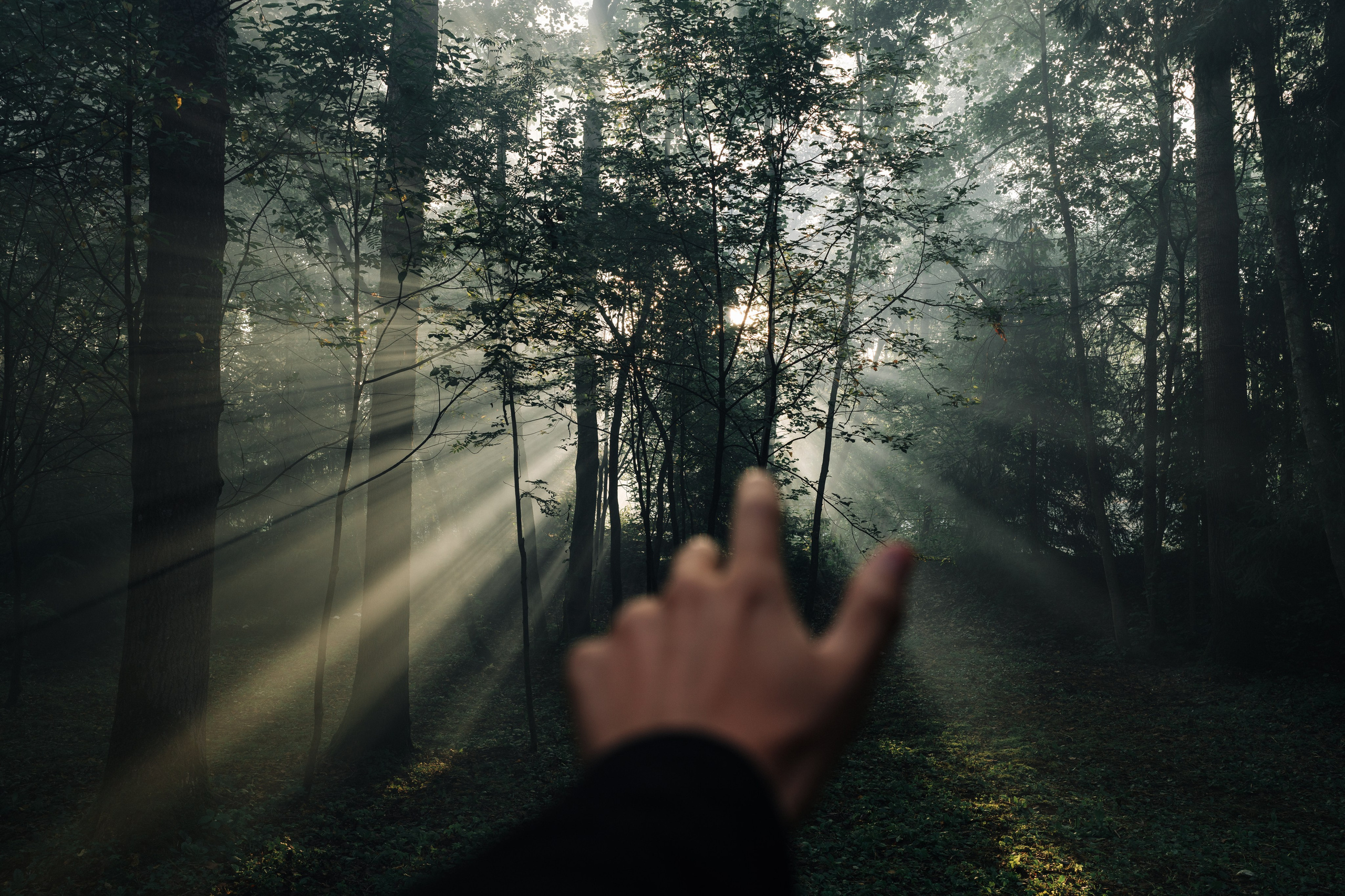 Outline 2024. @tomrus: Рустам Шагиморданов — фотограф