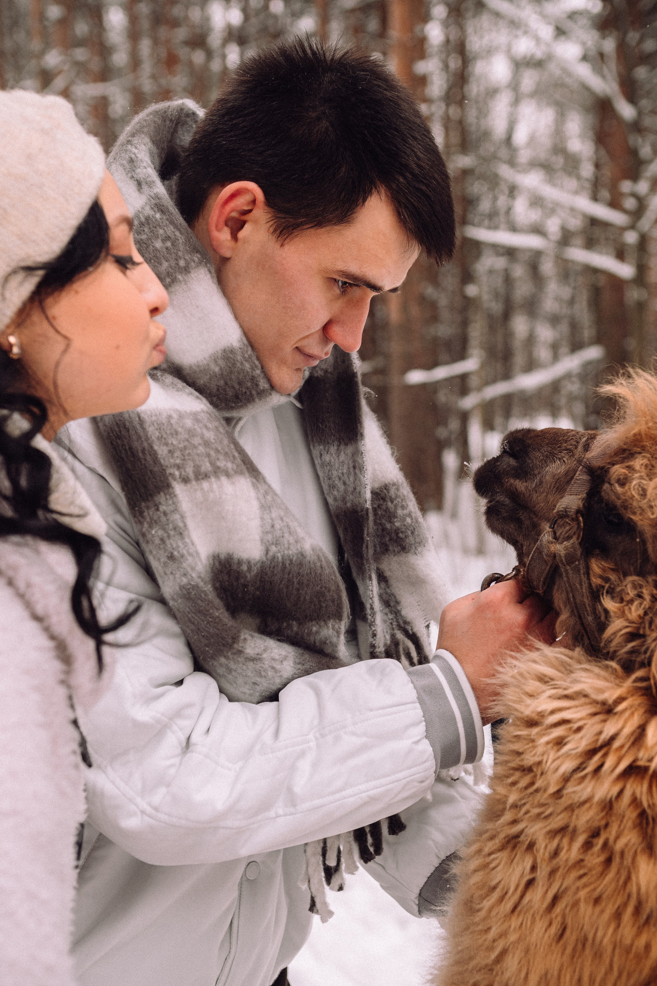 С Альпакой. Фотограф в Санкт-Петербурге Кристина Брянская