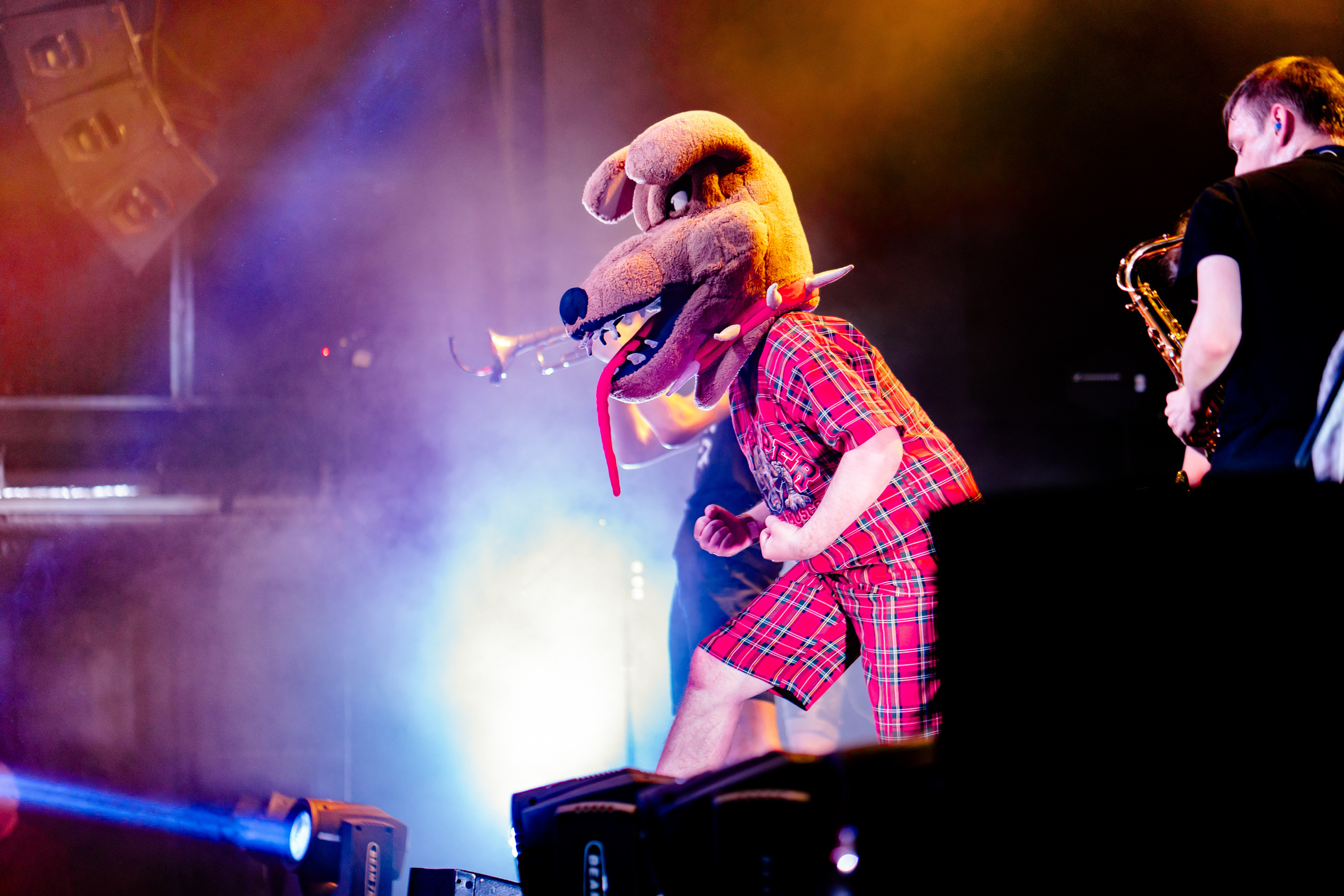 DISTEMPER / УРБАН / 02.04.2022. Ekhovanov | фото- видеосъемка