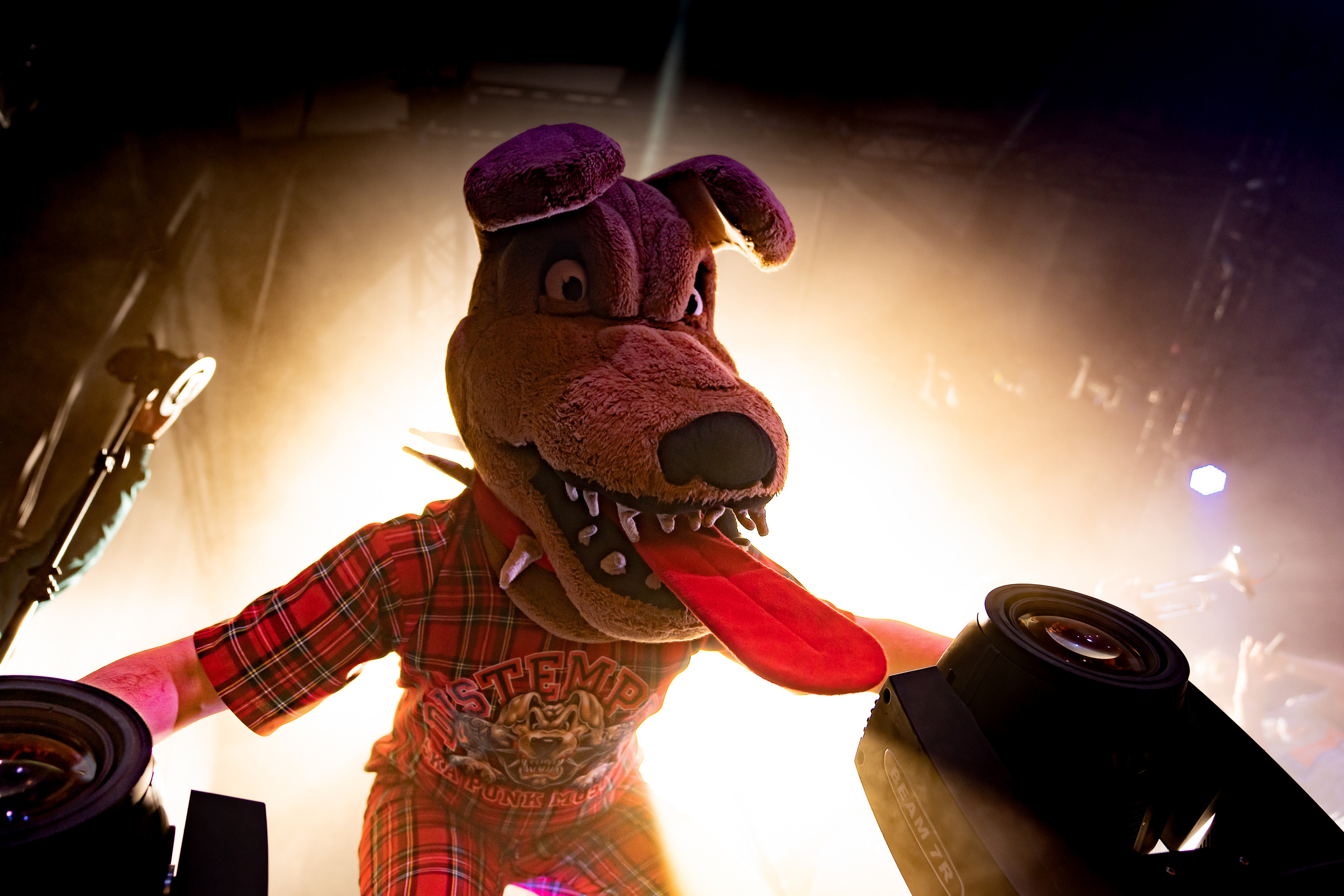 DISTEMPER / УРБАН / 02.04.2022. Ekhovanov | фото- видеосъемка