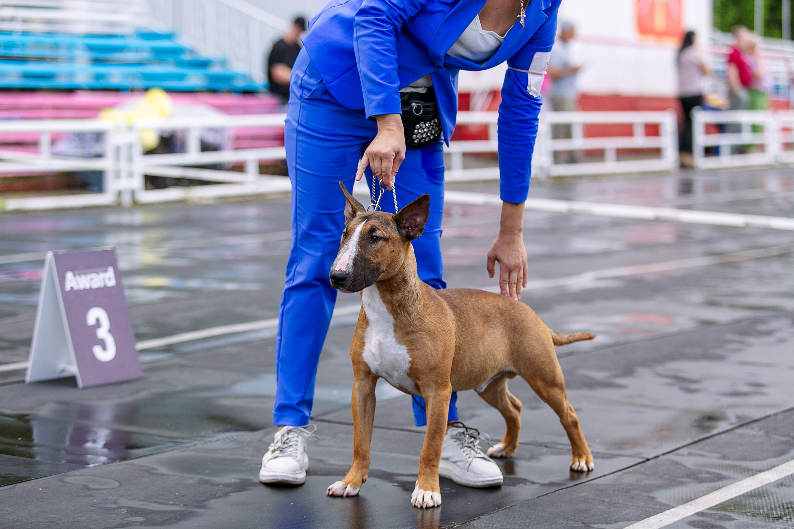 Окунулась вновь в атмосферу выставки…. Школьный фотограф в Туле Светлана Привезенцева