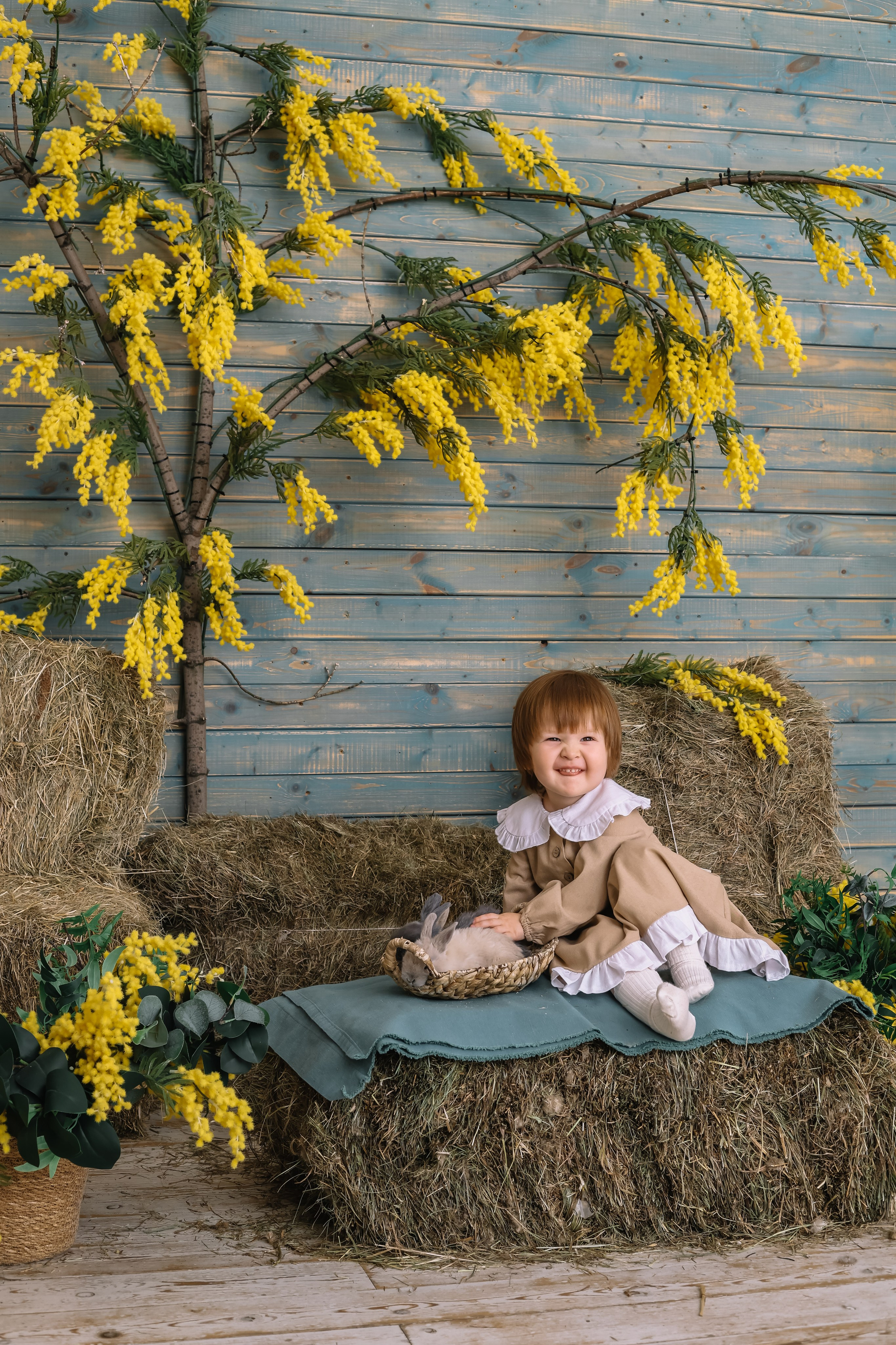 Утята. Фотограф и видеограф Анна Домашенко