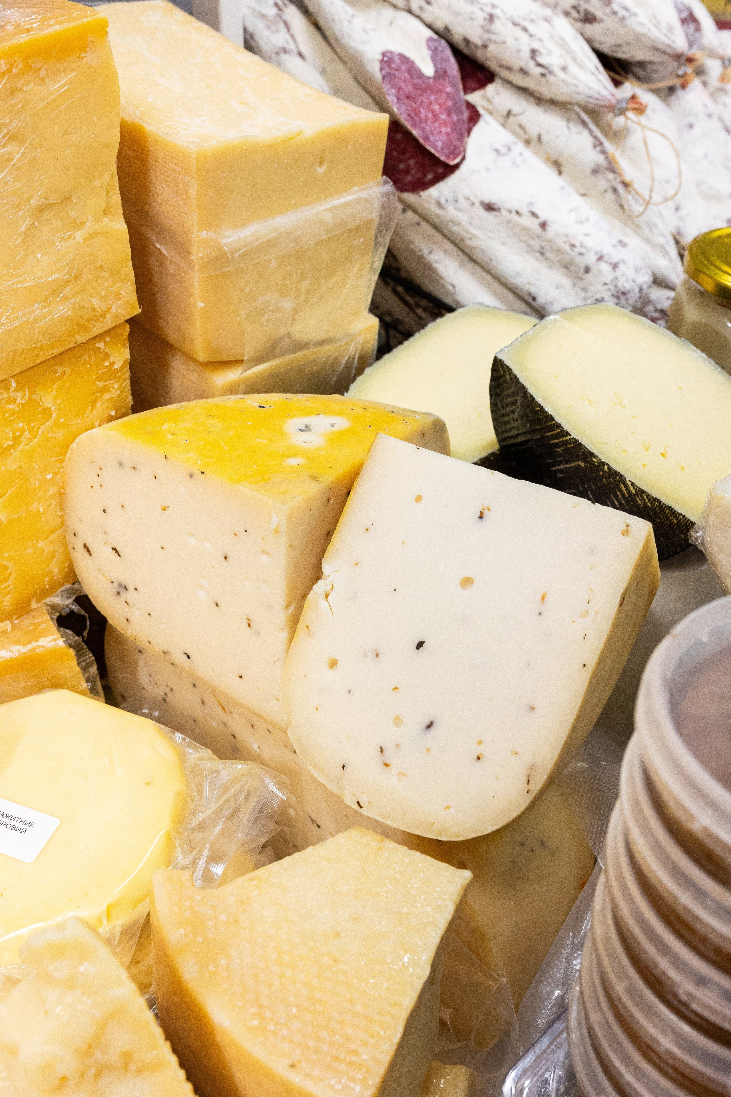 Орхидиум май 2025. Александра Куликова фотограф, Москва