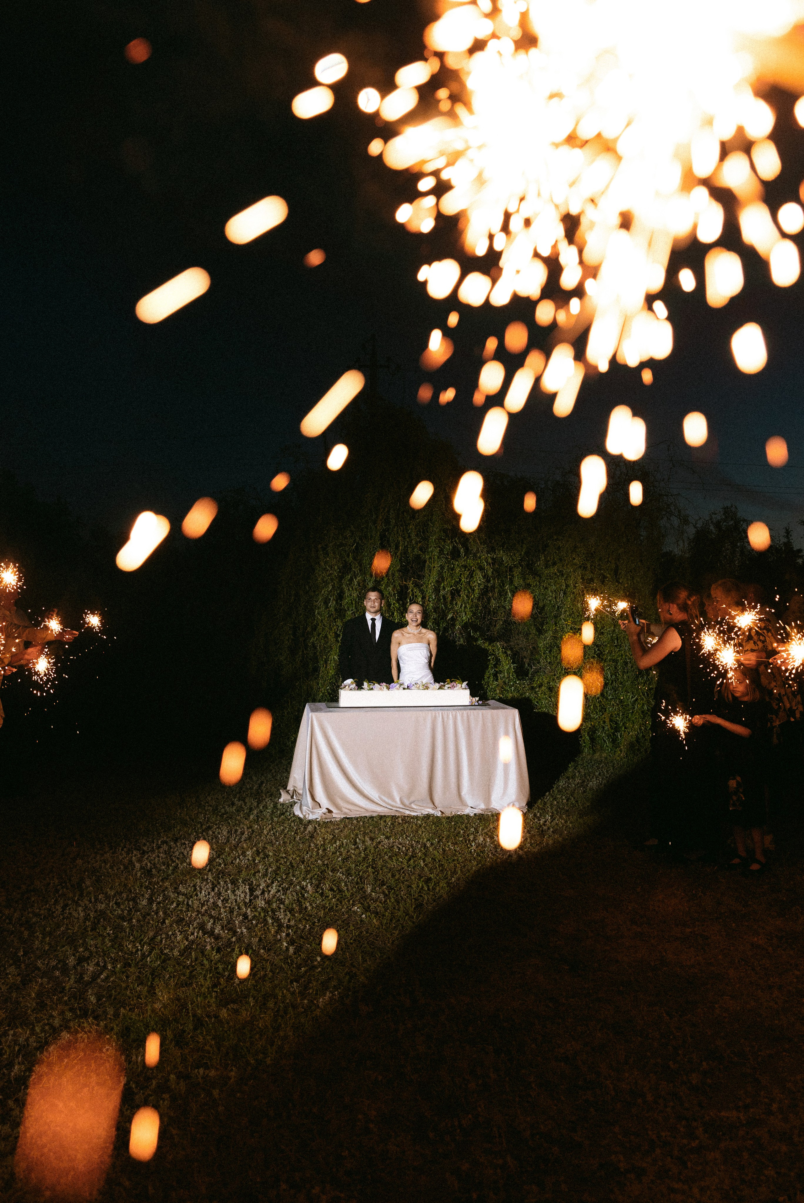 Александр & Полина. Свадебный фотограф Лена Чистопольцева